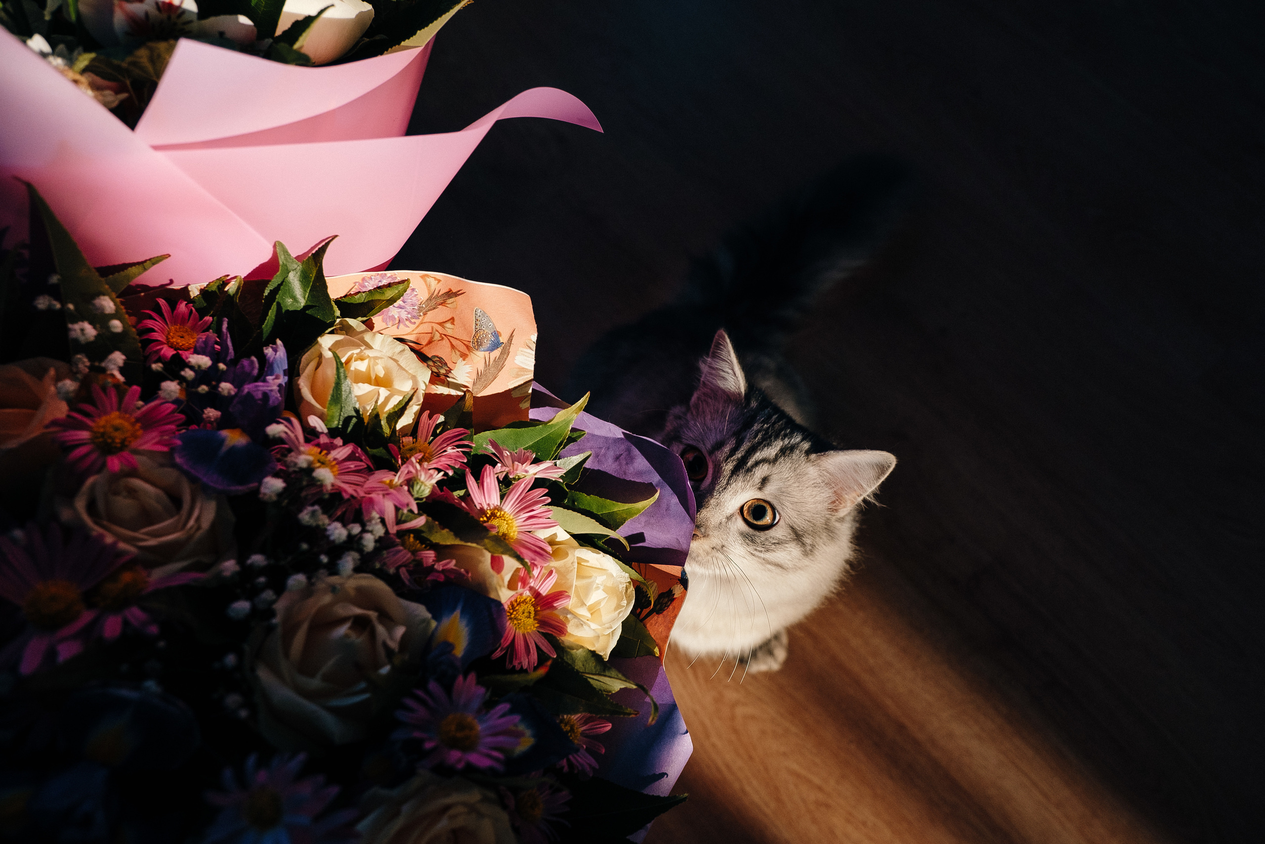 2019 19.10 WeddingStory Евгений+Юлия. Ivan Skufinsky — wedding and family photographer in Vancouver