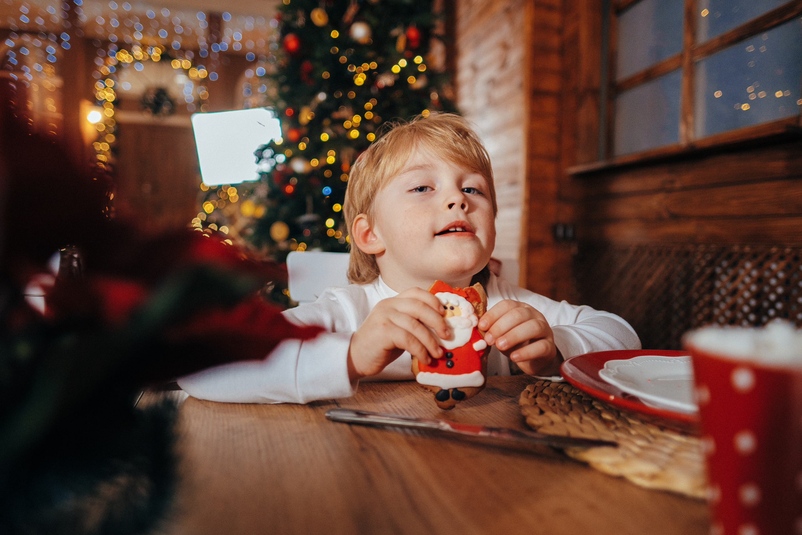 Рождественское счастье. Ivan Skufinsky — wedding and family photographer in Vancouver