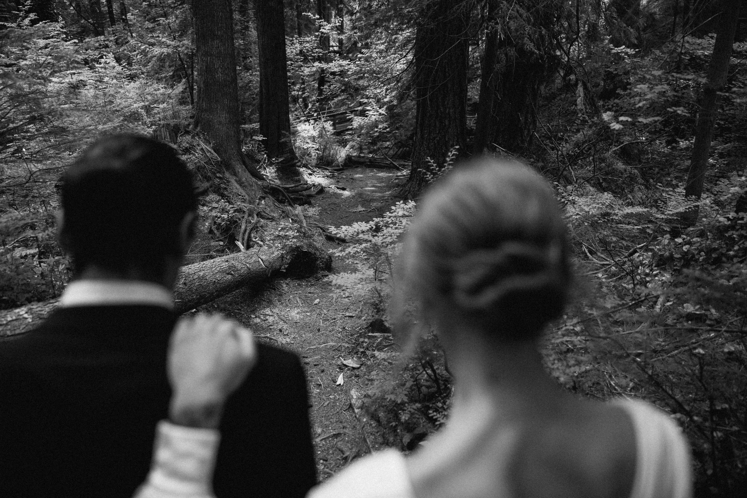 Michael & Caitlyn. Ivan Skufinsky — wedding and family photographer in Vancouver