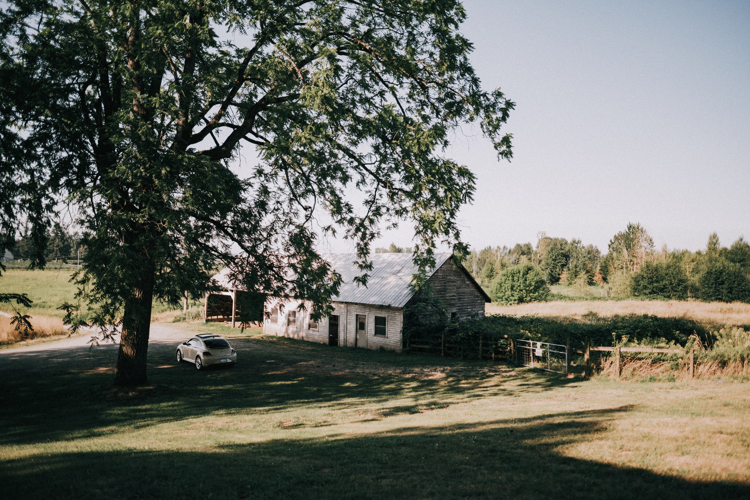 BTS -=NIGHT ROUTINE=- 2024. Ivan Skufinsky — wedding and family photographer in Vancouver