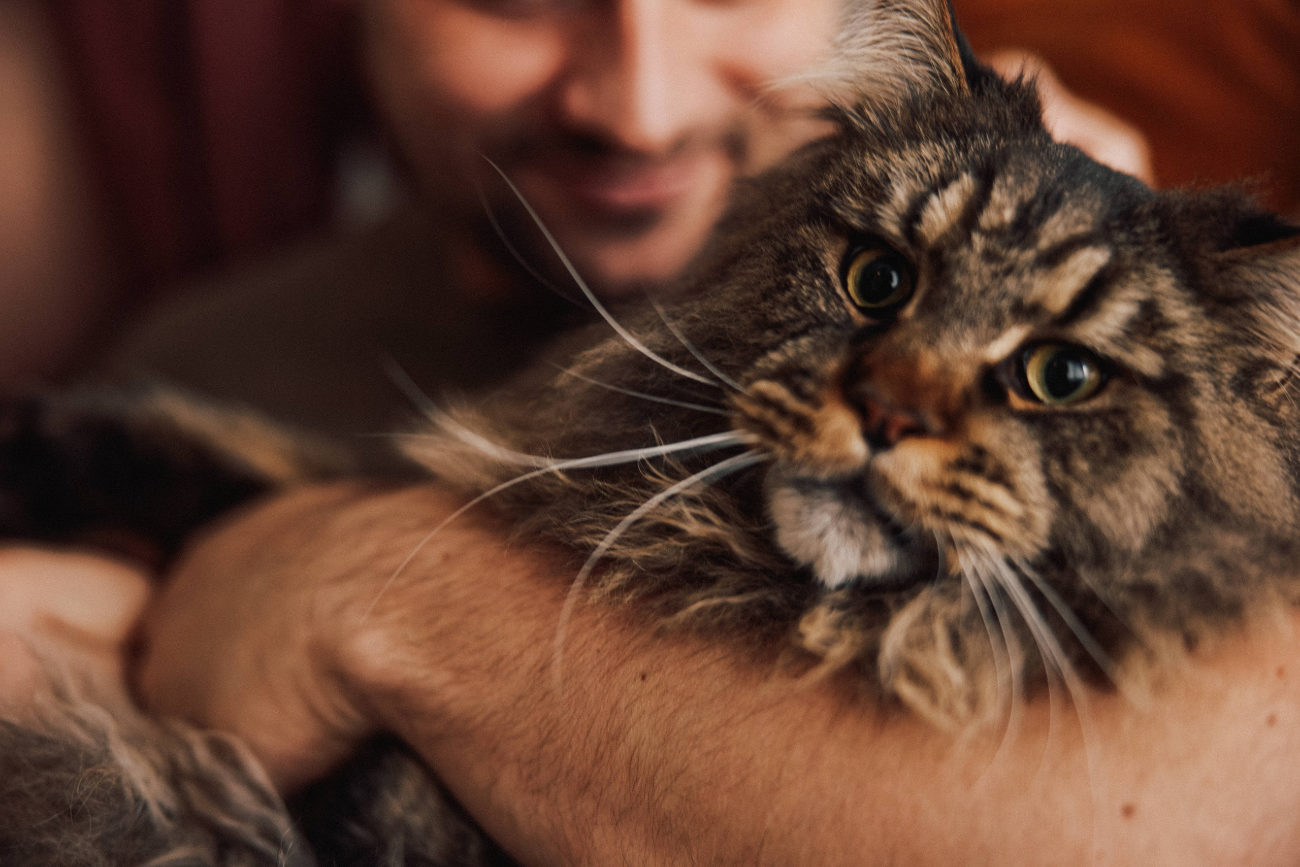 Pregnancy Home Story Vancouver. Ivan Skufinsky — wedding and family photographer in Vancouver