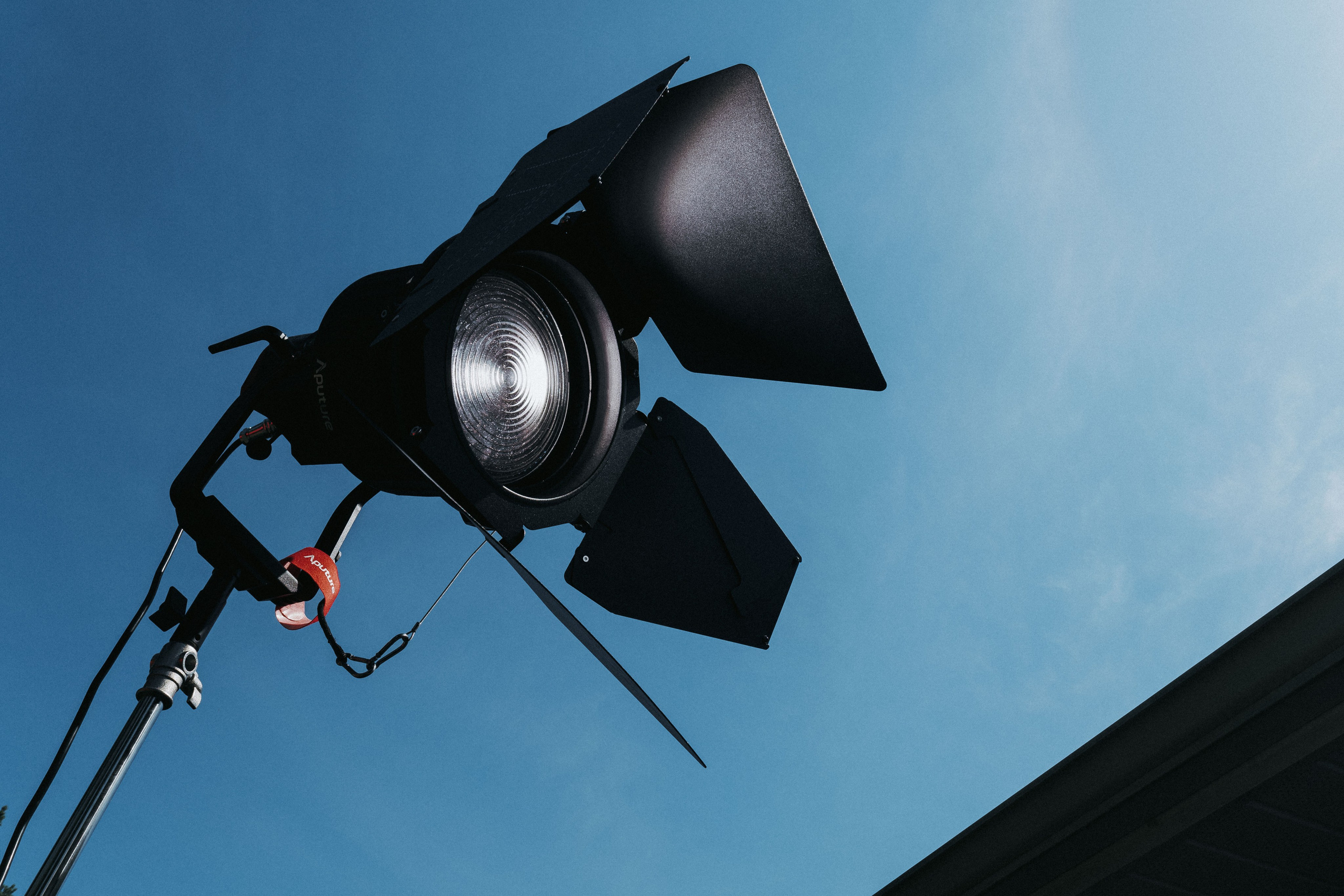 SHEEPSKIN. Ivan Skufinsky — wedding and family photographer in Vancouver