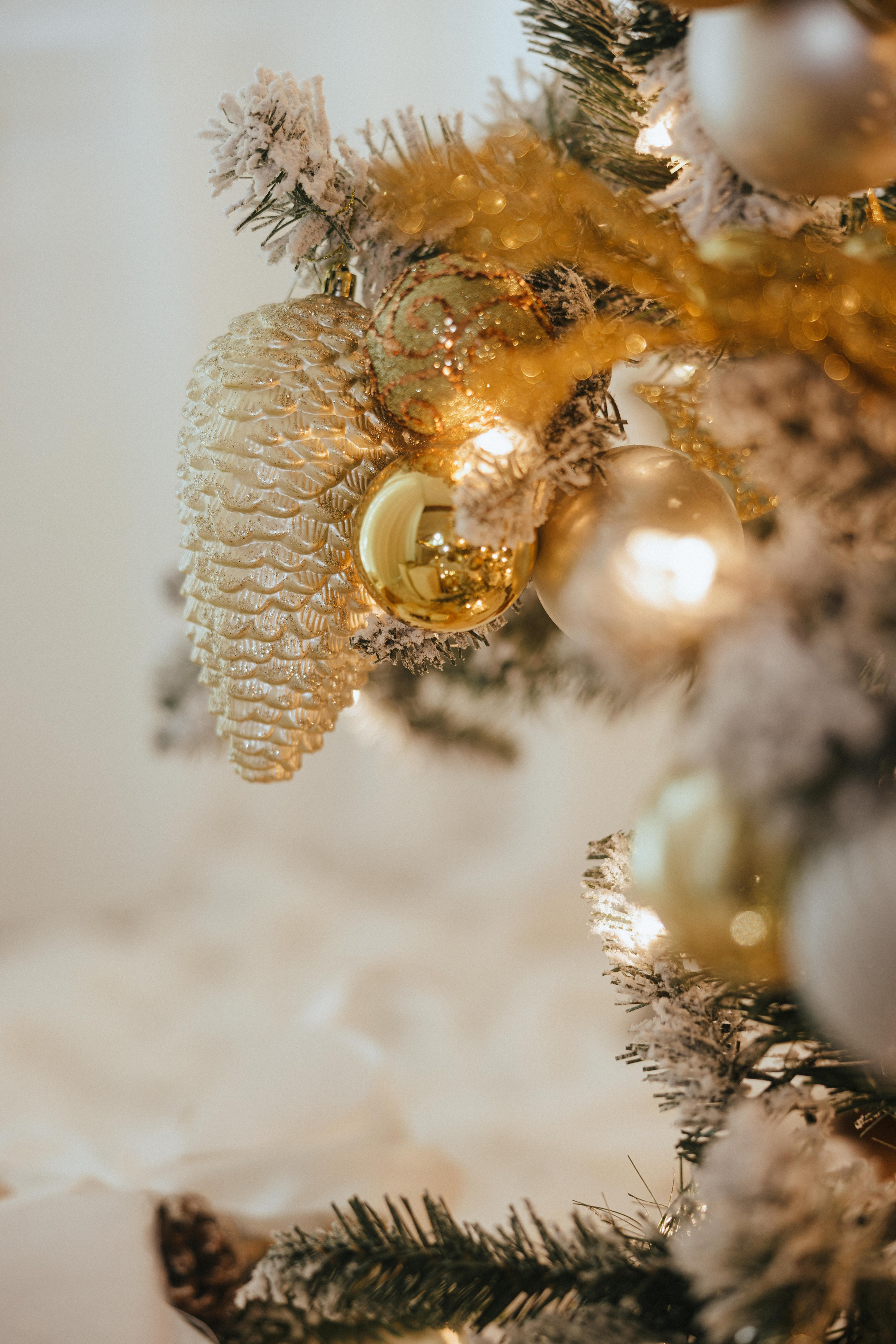 Christmas photo shoot 2025. Ivan Skufinsky — wedding and family photographer in Vancouver