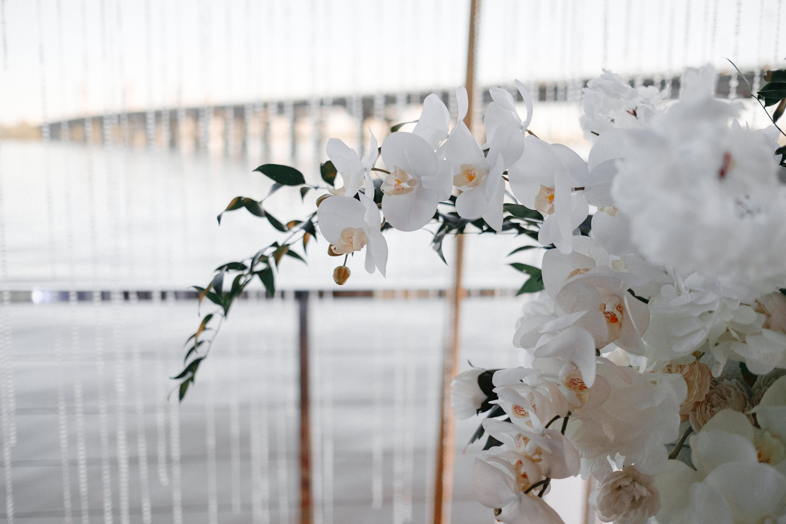 Wedding photographer in Vancouver BC. Весільний фотограф у Ванкувер. Ivan Skufinsky — wedding and family photographer in Vancouver