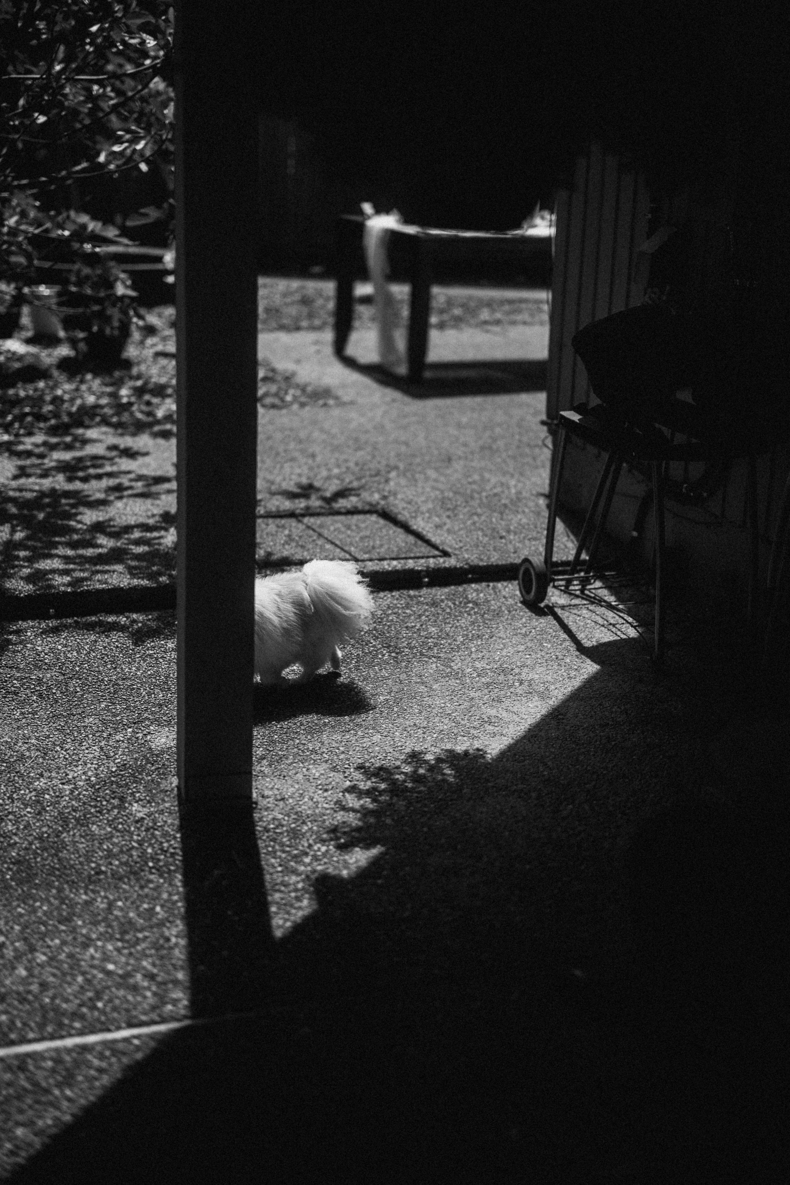 Michael & Caitlyn. Ivan Skufinsky — wedding and family photographer in Vancouver