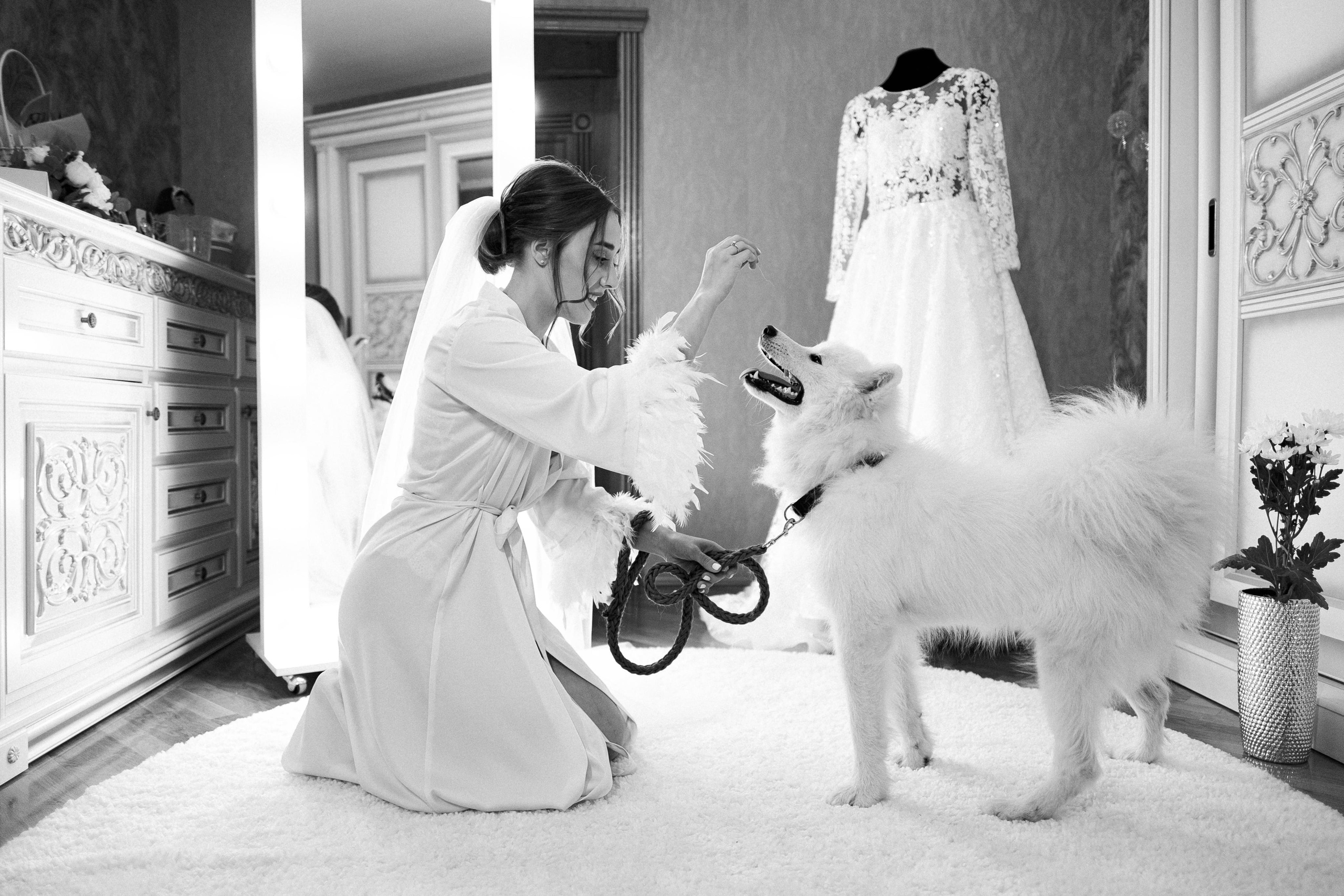 утро невесты с собачкой