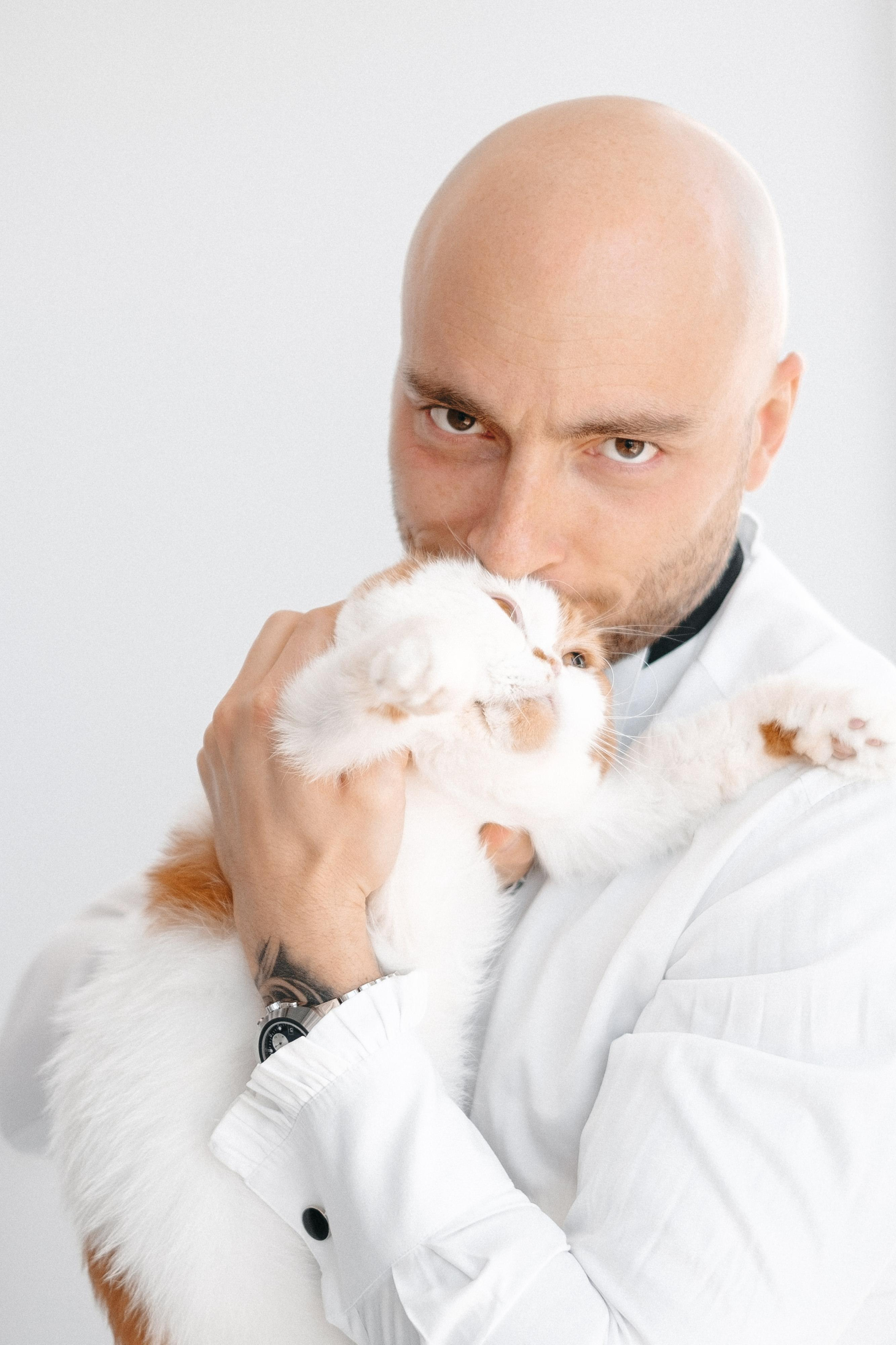 жених с белым котом