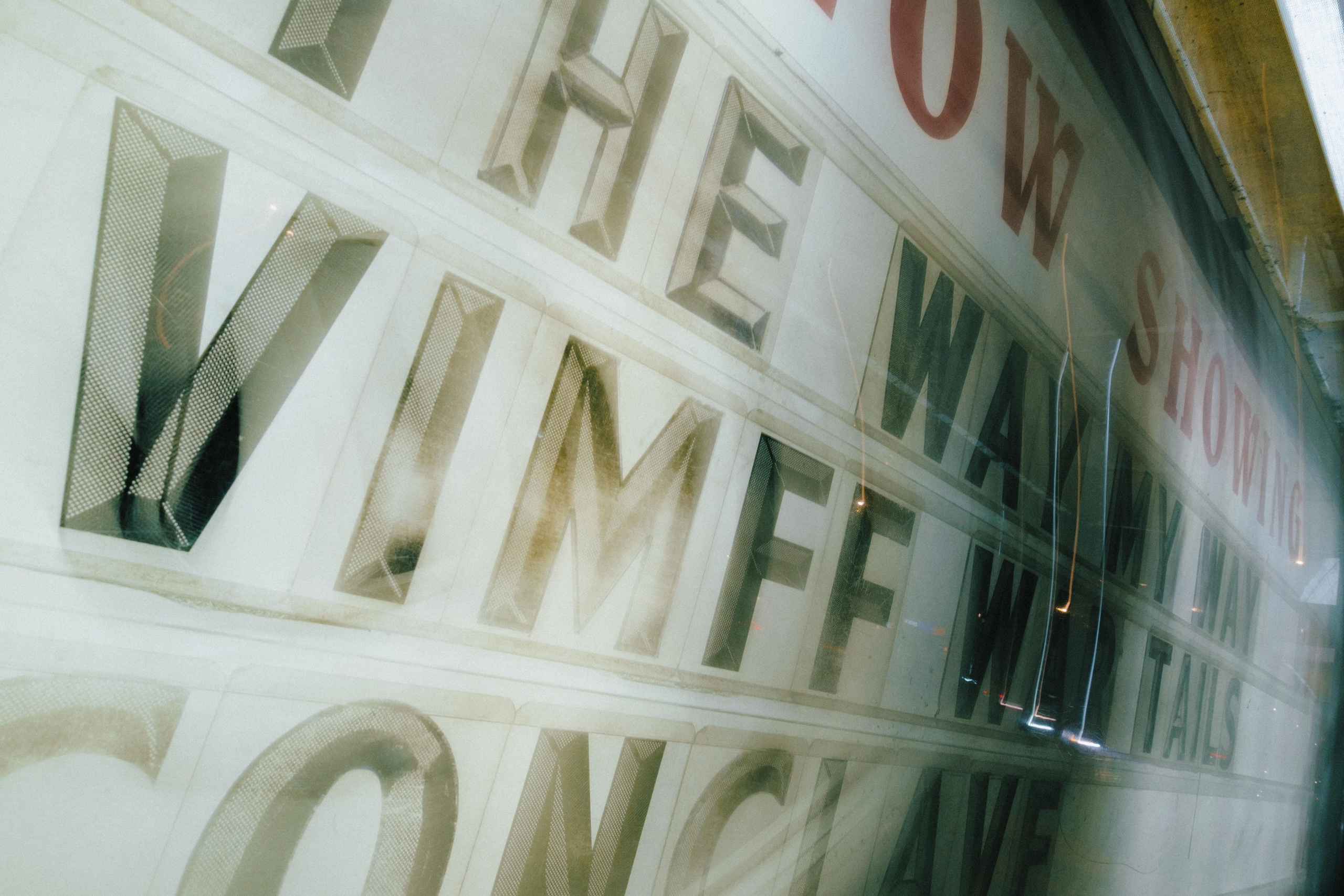 Film Premiere at Rio Theatre, Vancouver — “WAR TAILS”. Ivan Skufinsky — wedding and family photographer in Vancouver