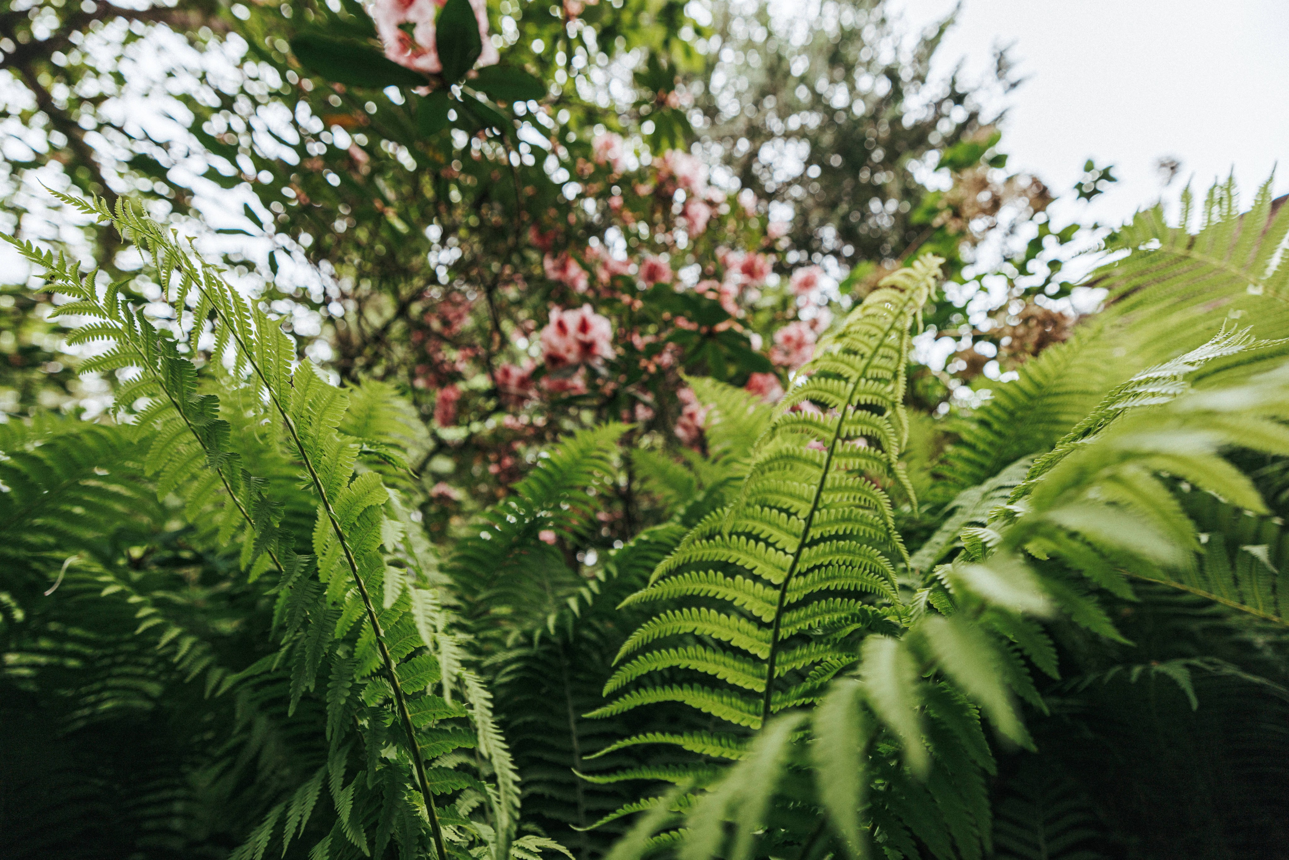 Cade & Susanne — The Teahouse in Stanley Park | Photography by Ivan Skufinsky. Ivan Skufinsky — wedding and family photographer in Vancouver