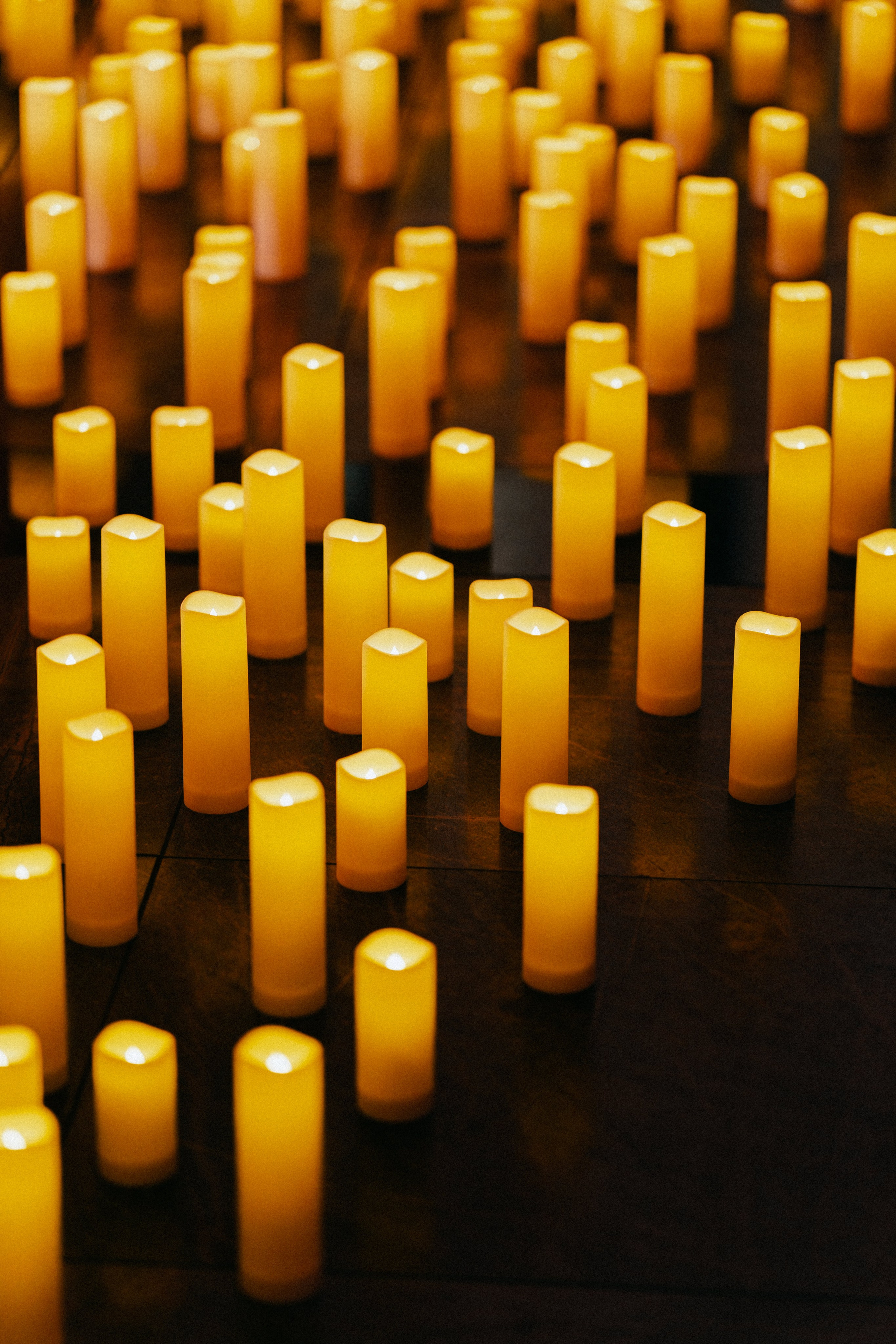 Live concert photography from Vivienne Mort in Vancouver 2025. Ivan Skufinsky — wedding and family photographer in Vancouver