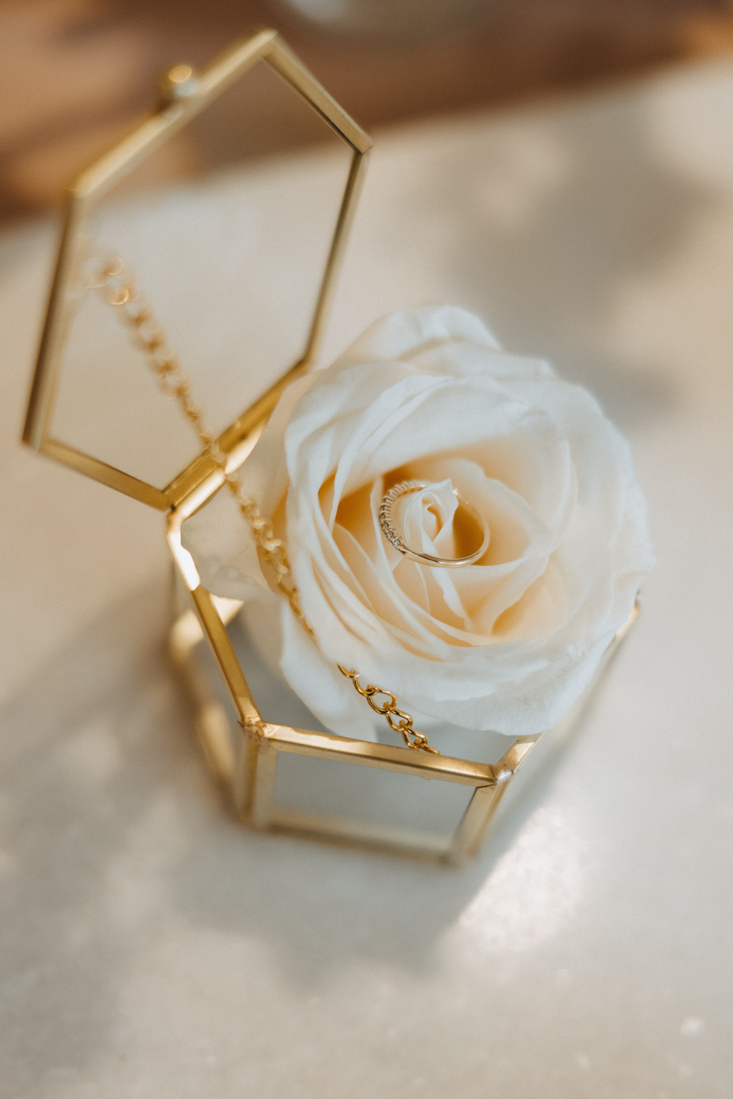 Kinza & Zubair. Ivan Skufinsky — wedding and family photographer in Vancouver