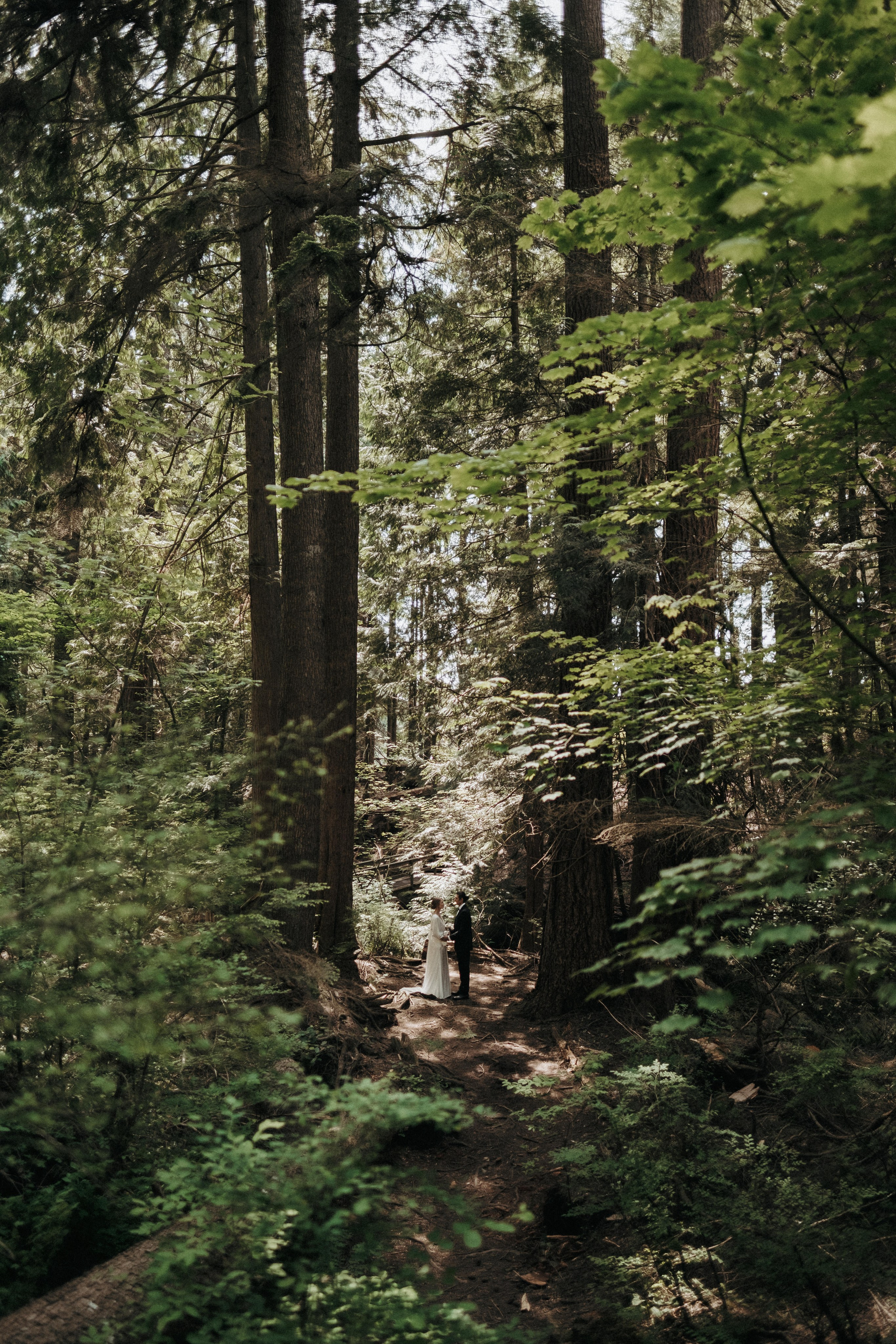 Michael & Caitlyn. Ivan Skufinsky — wedding and family photographer in Vancouver