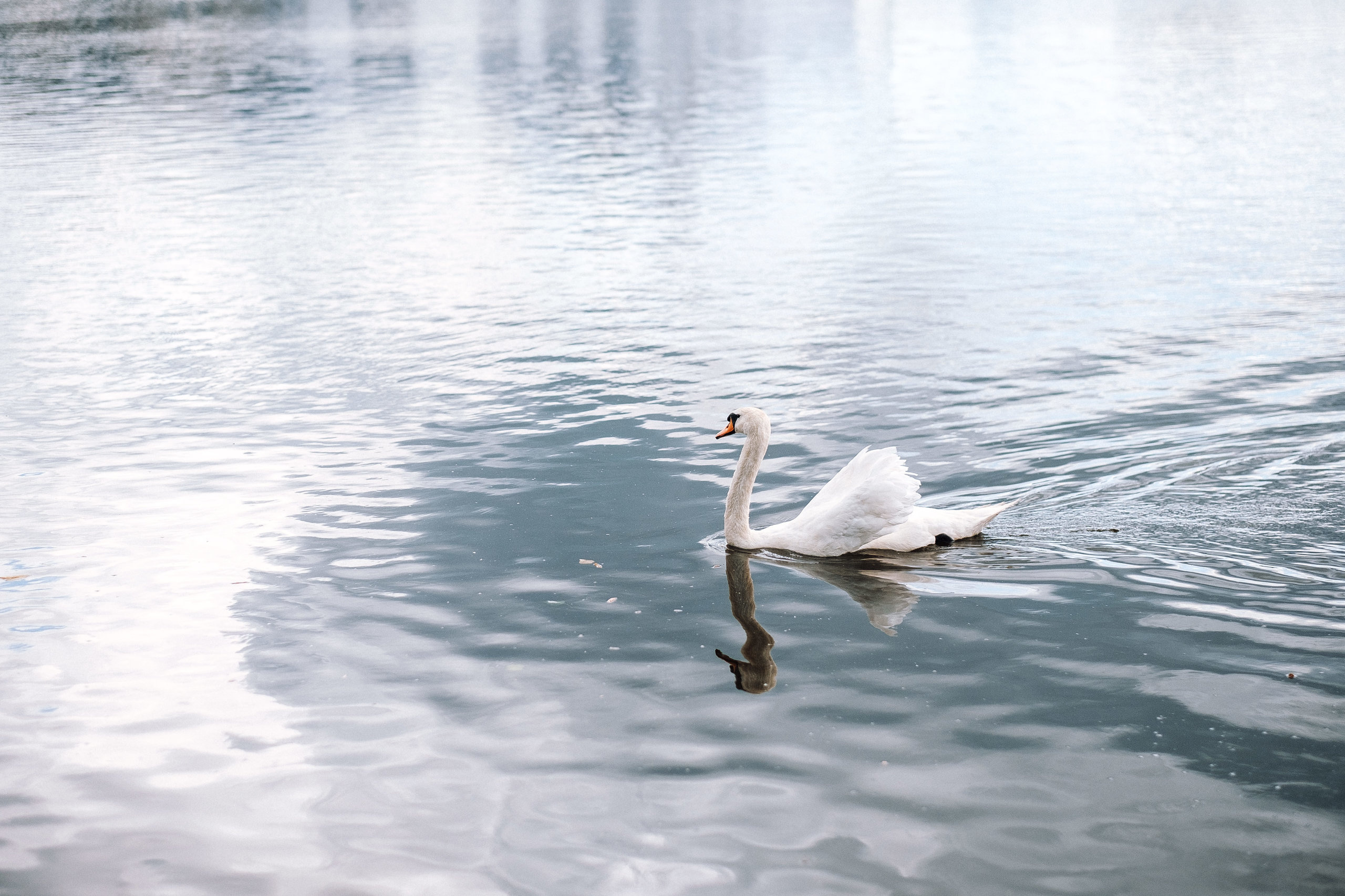 29.06.2019 WeddingStory. Ivan Skufinsky — wedding and family photographer in Vancouver