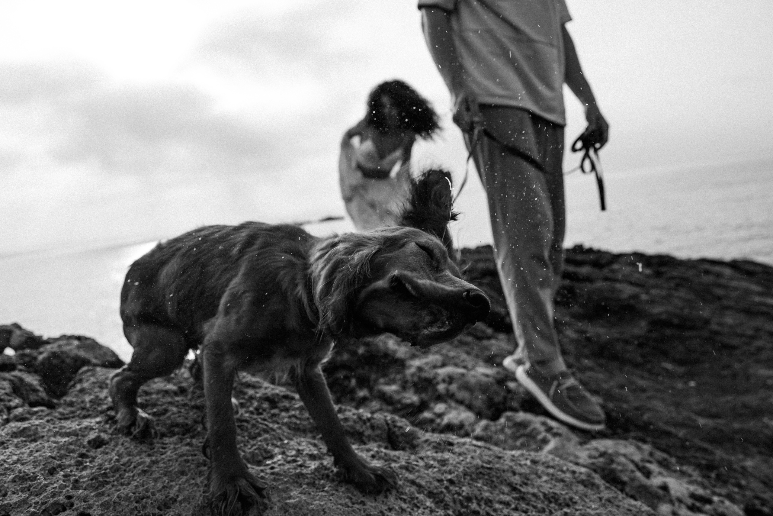 Alsu & Anton. Izmir. Ivan Skufinsky — wedding and family photographer in Vancouver