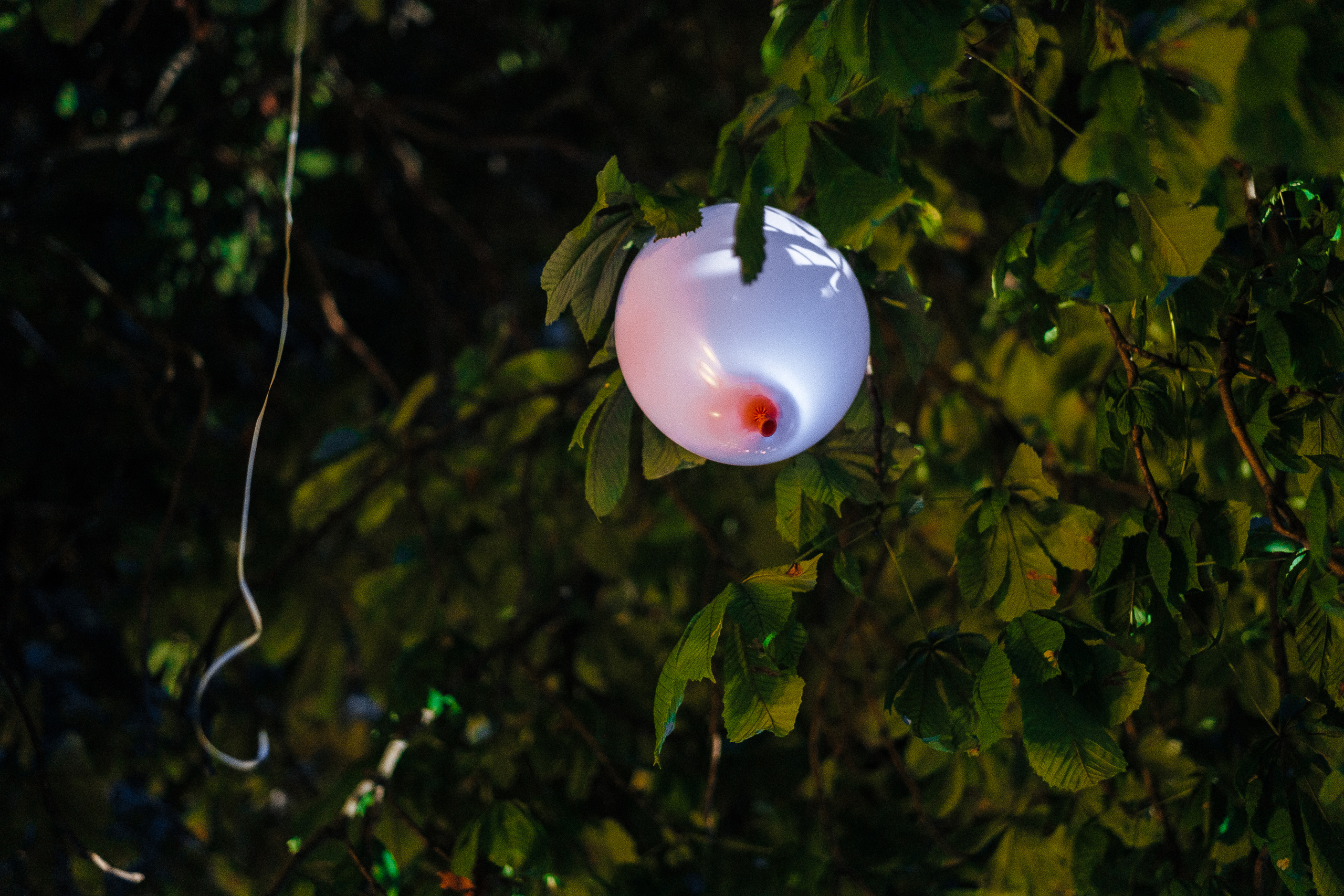 Свадебная история Иван+Ирина. Ivan Skufinsky — wedding and family photographer in Vancouver