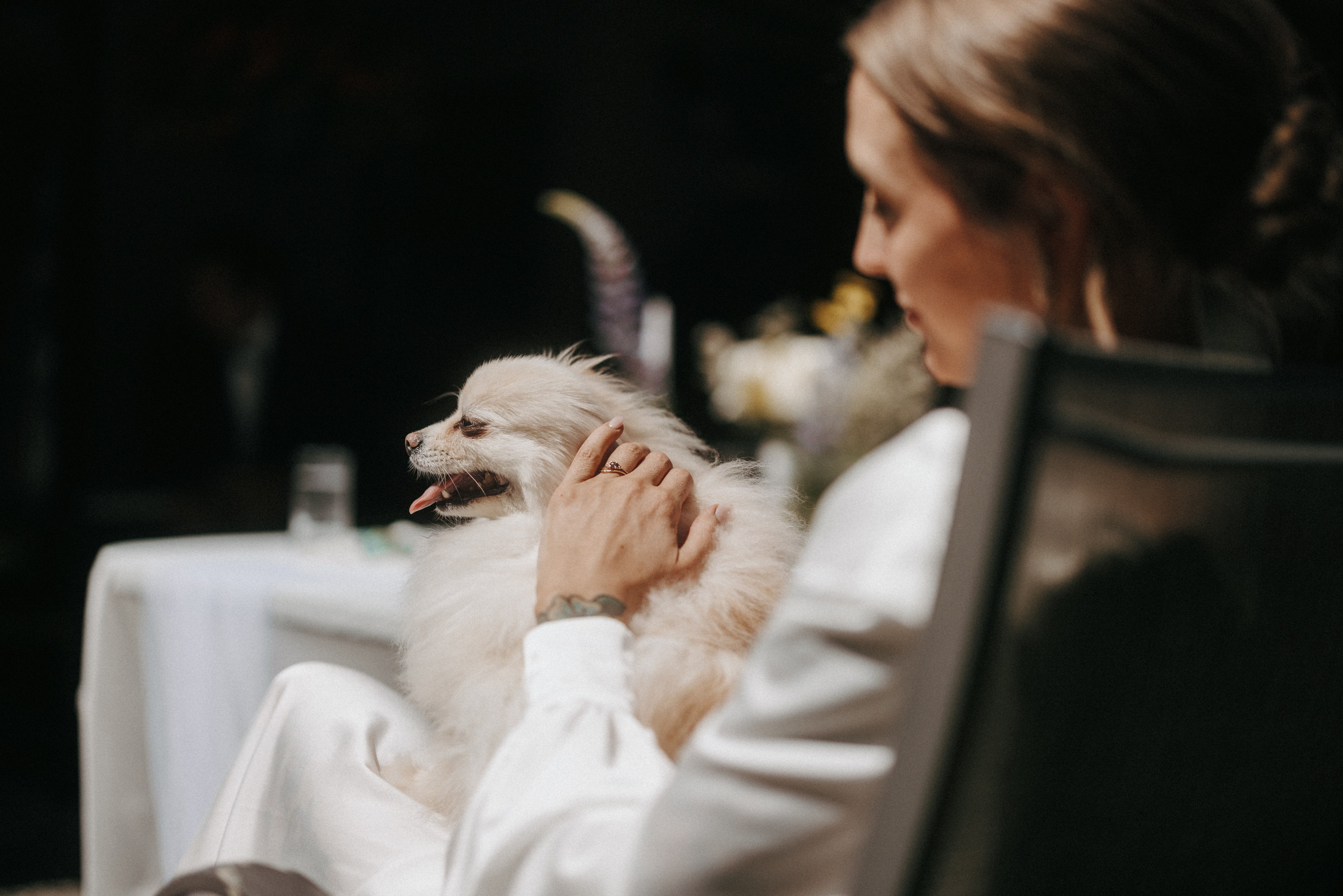 Michael & Caitlyn. Ivan Skufinsky — wedding and family photographer in Vancouver