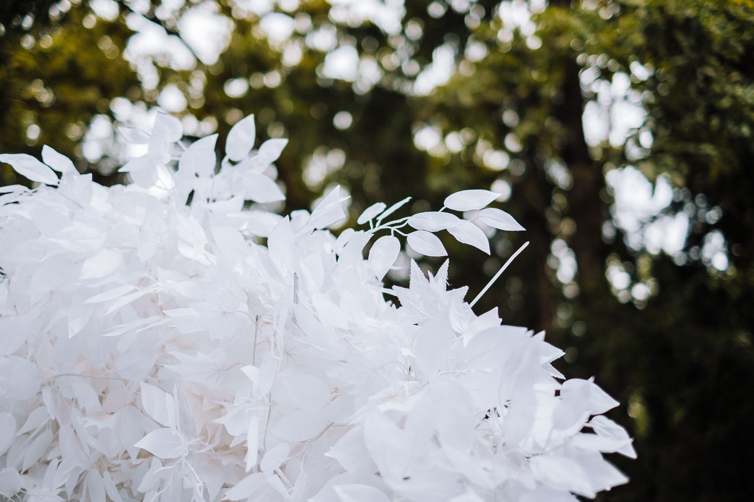 СВАДЬБА 20.07.2019 Дима+Катя. Ivan Skufinsky — wedding and family photographer in Vancouver