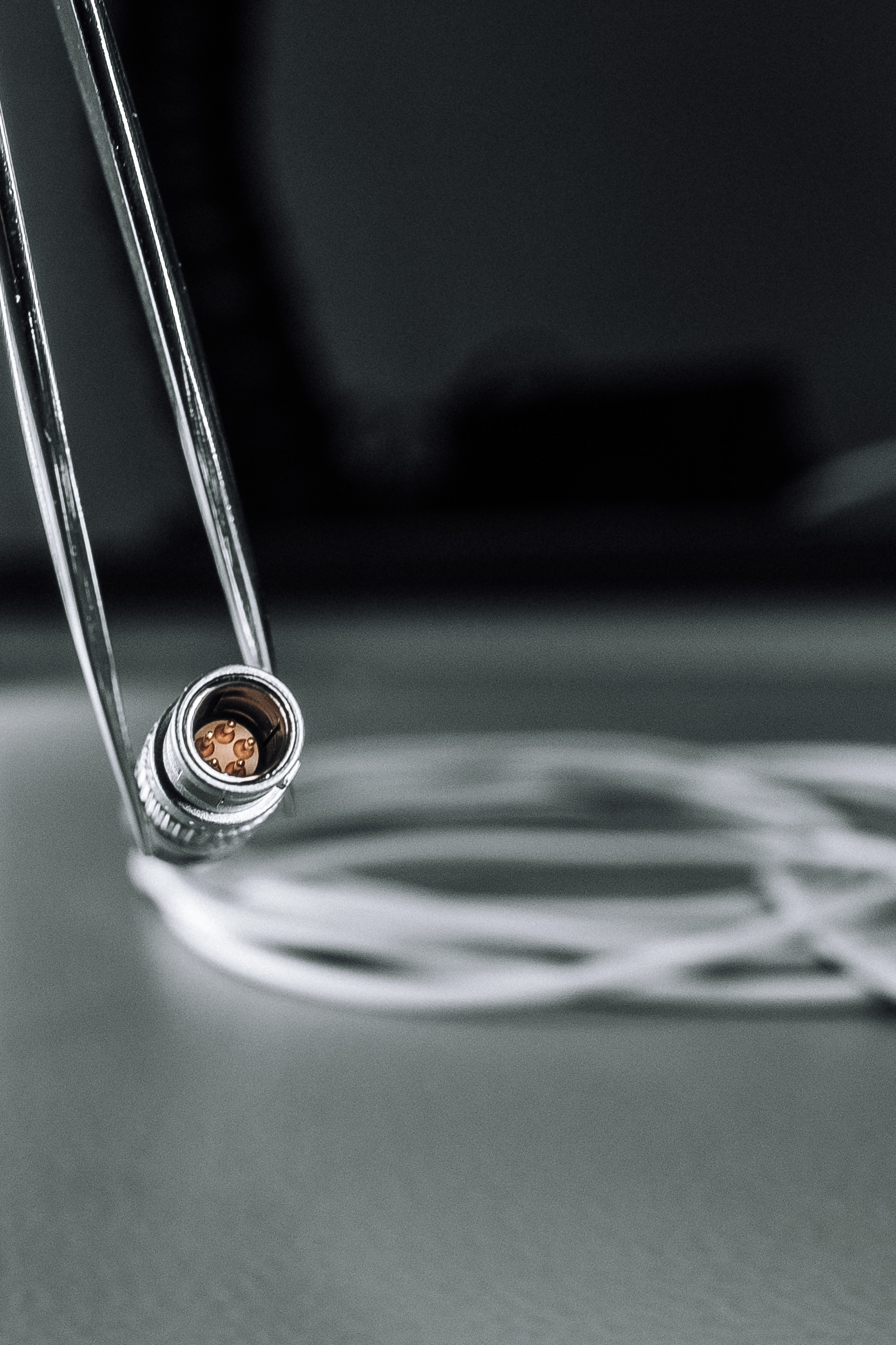 ЗАВОД. Ivan Skufinsky — wedding and family photographer in Vancouver