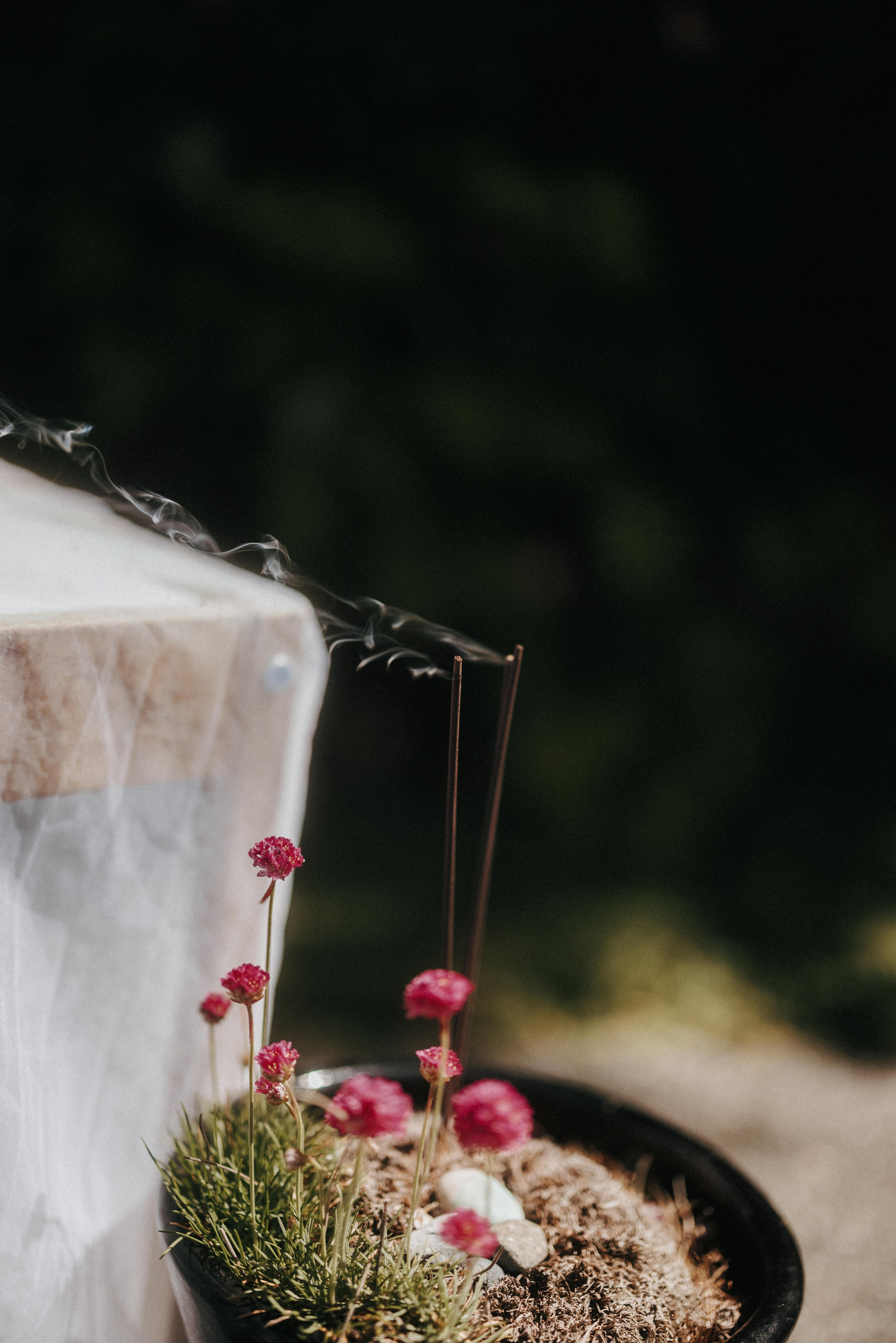 Michael & Caitlyn. Ivan Skufinsky — wedding and family photographer in Vancouver