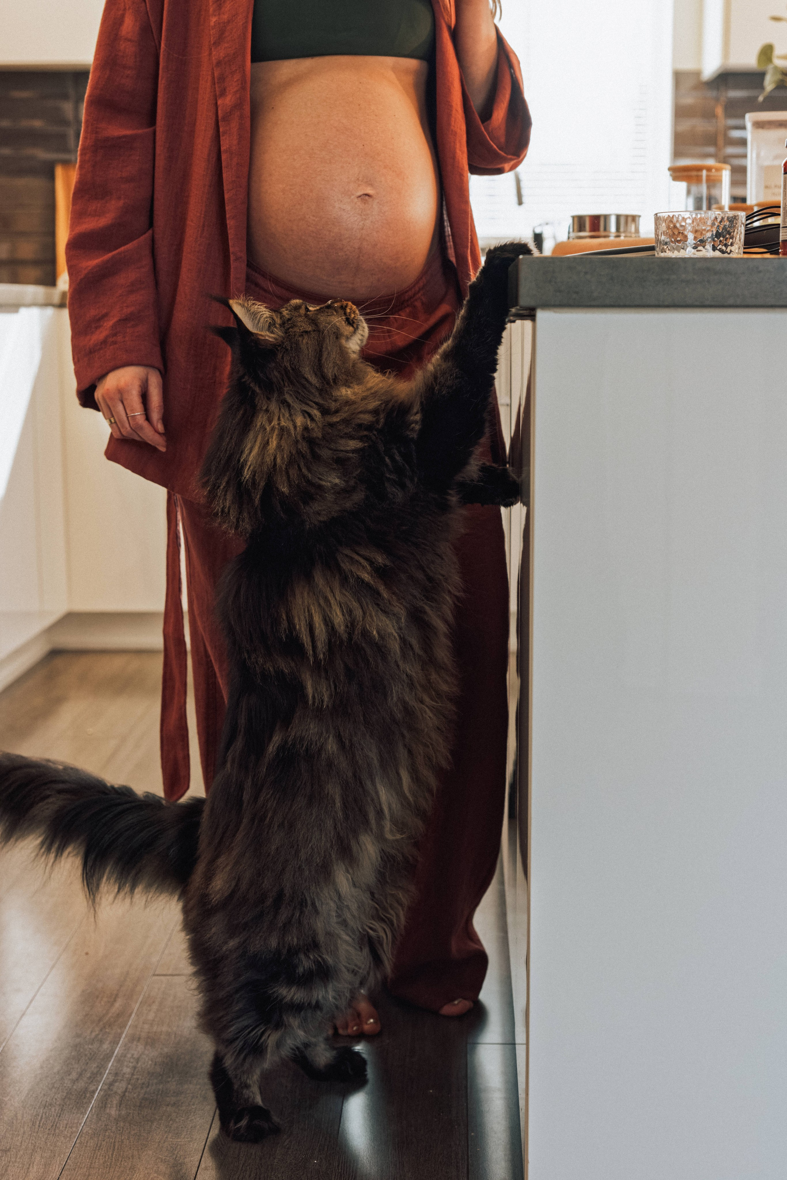 Pregnancy Home Story Vancouver. Ivan Skufinsky — wedding and family photographer in Vancouver