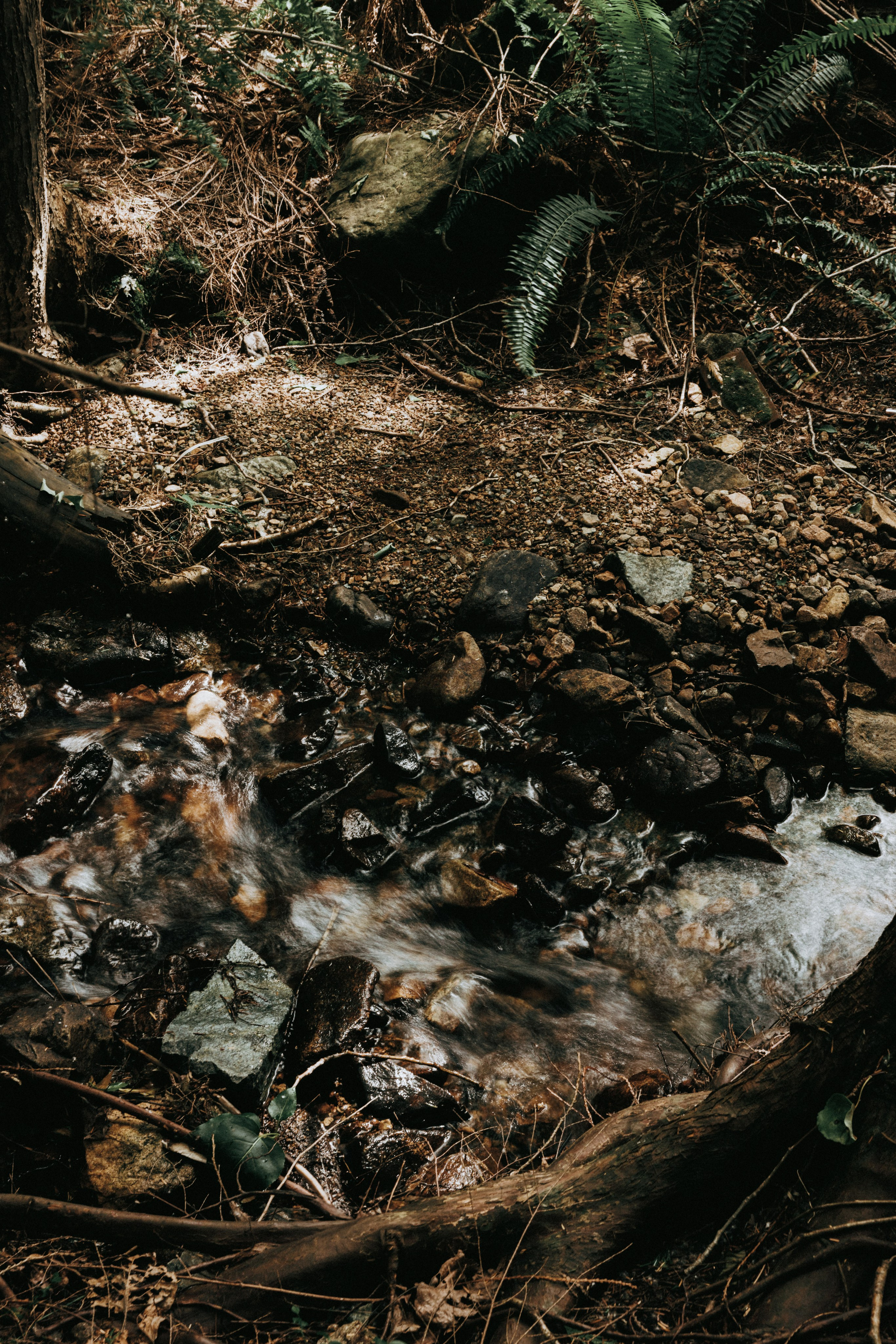 Michael & Caitlyn. Ivan Skufinsky — wedding and family photographer in Vancouver