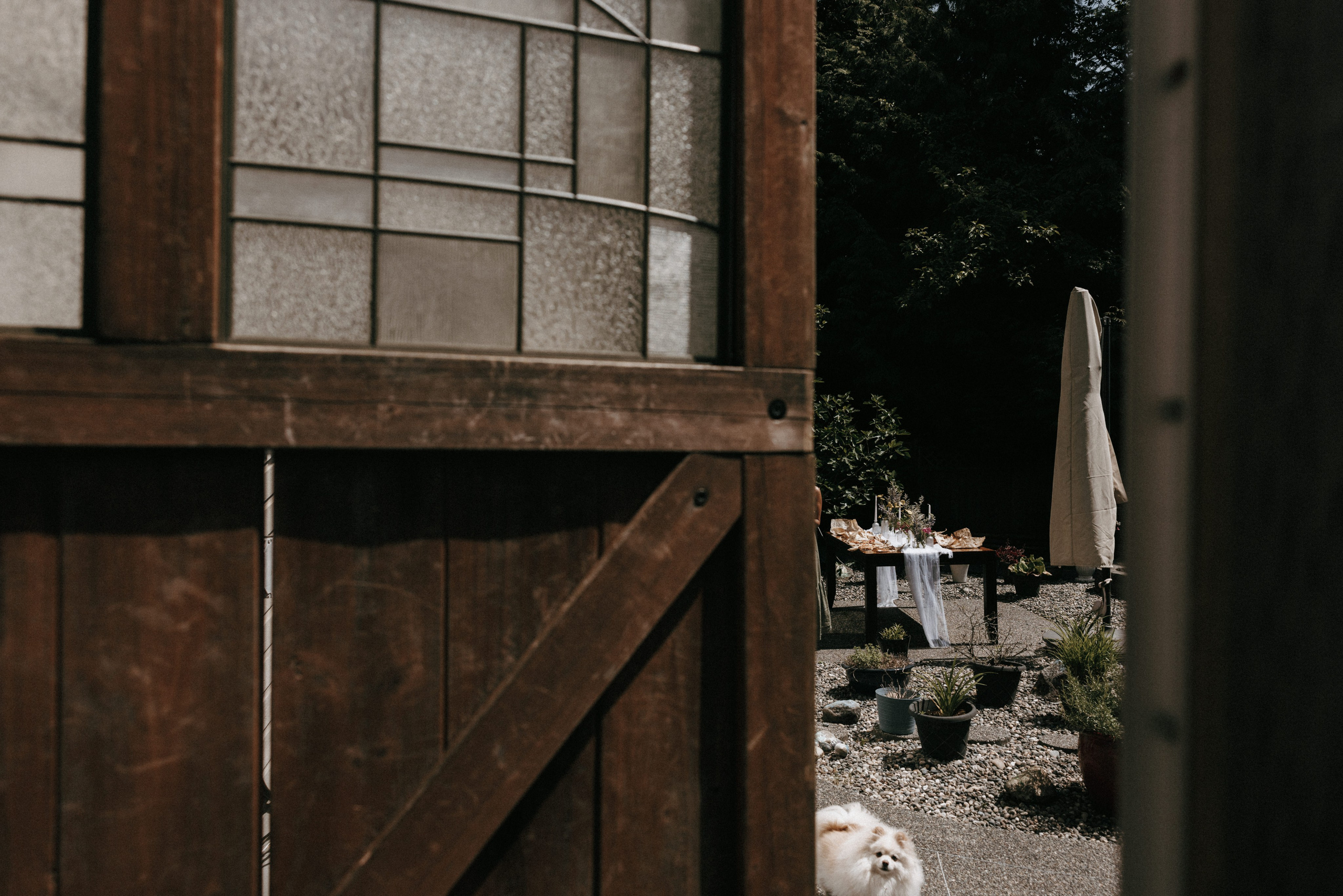 Michael & Caitlyn. Ivan Skufinsky — wedding and family photographer in Vancouver