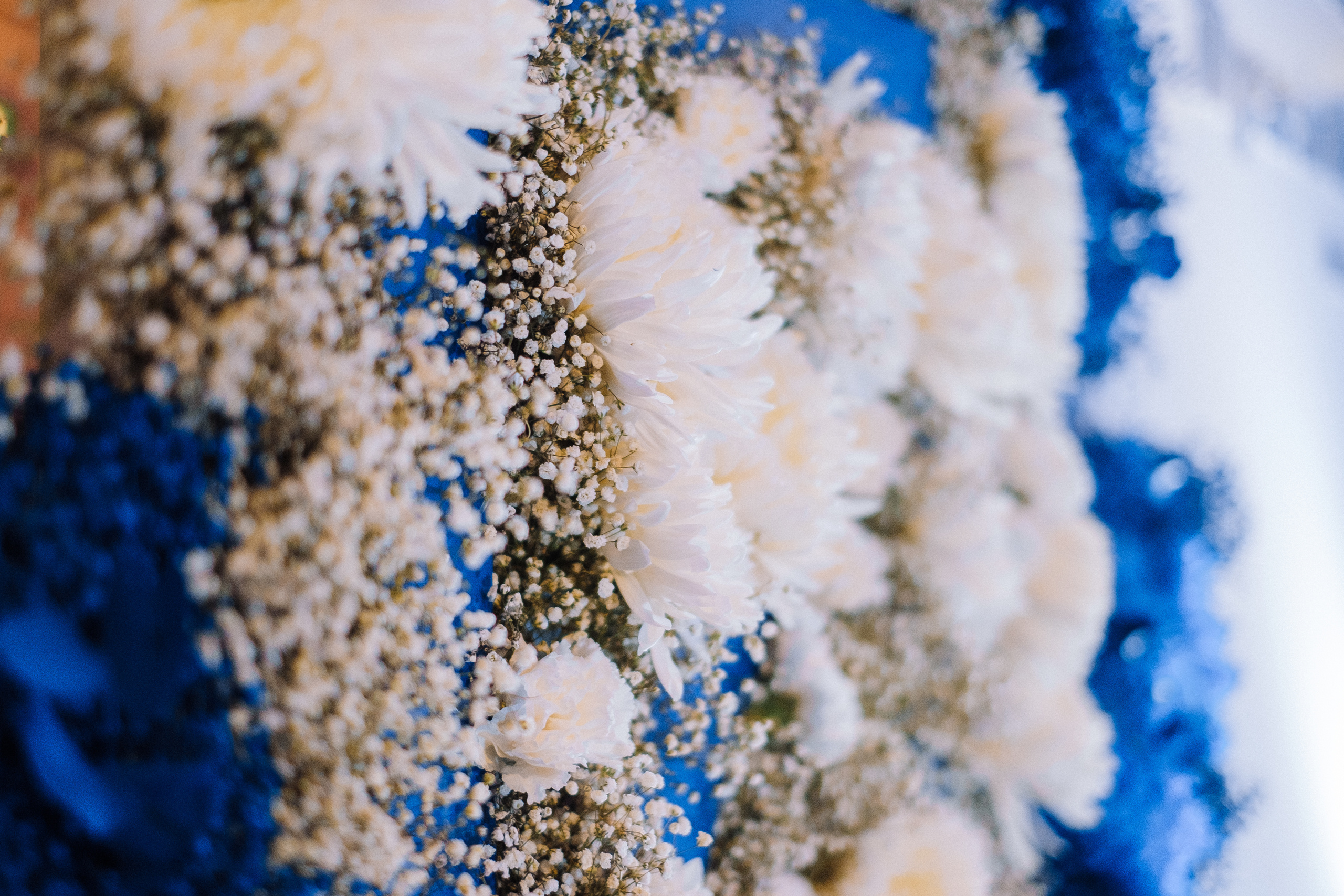 Deutsche Bank 10 years in Ukraine. Ivan Skufinsky — wedding and family photographer in Vancouver