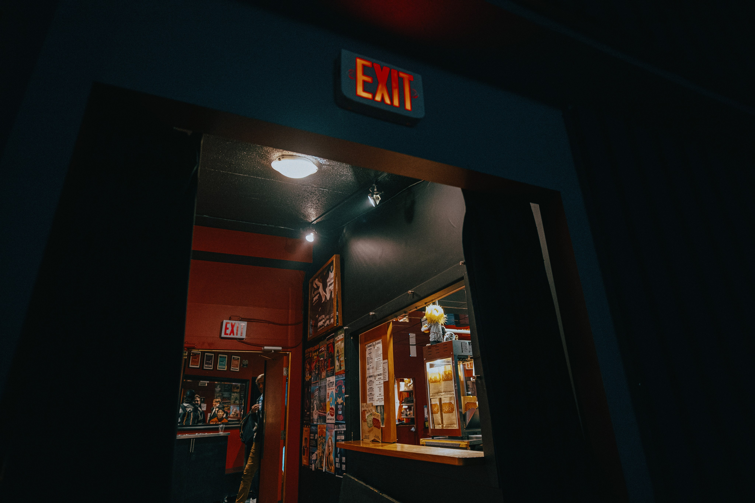 Film Premiere at Rio Theatre, Vancouver — “WAR TAILS”. Ivan Skufinsky — wedding and family photographer in Vancouver