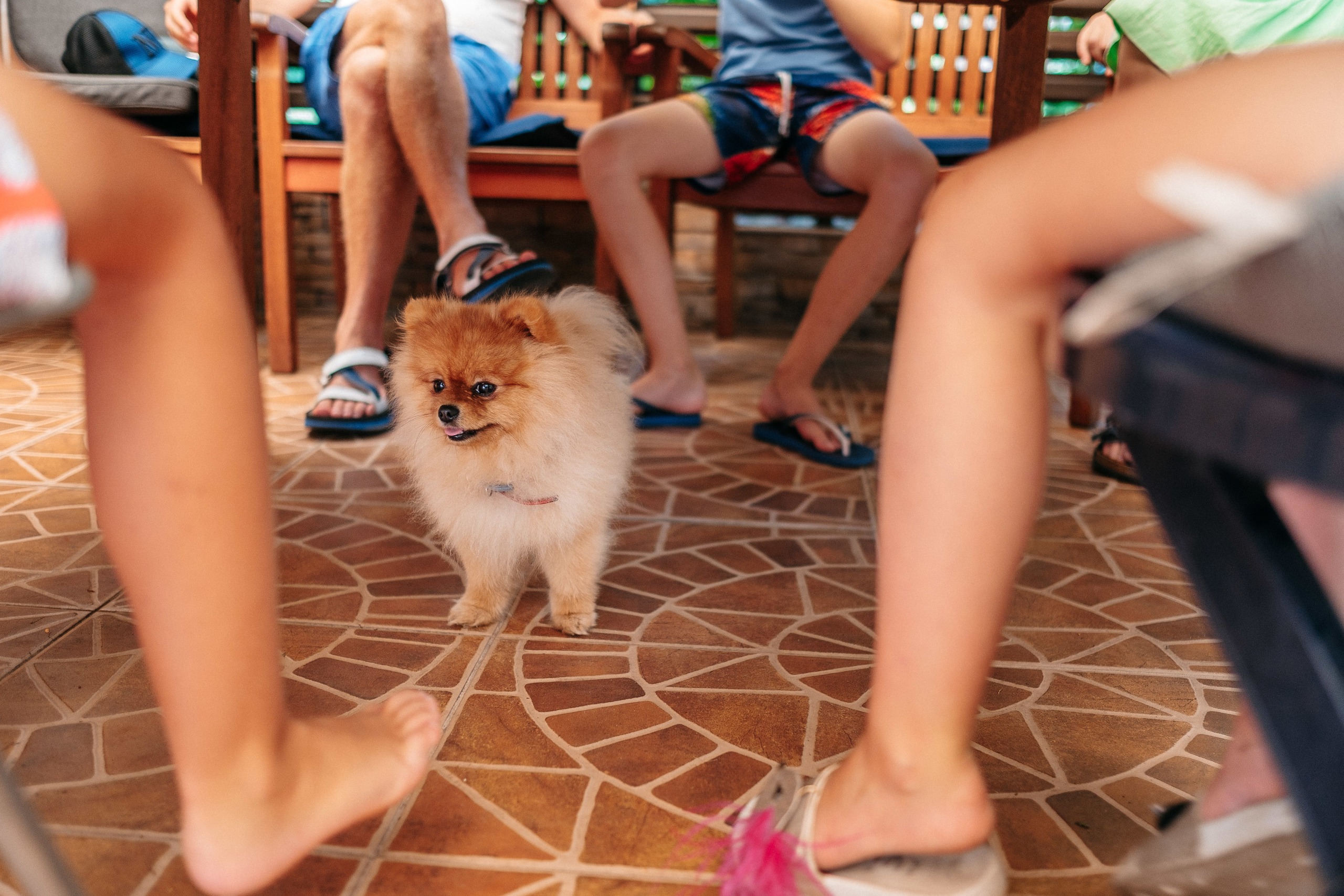 День Рождения Лизочка 7 лет. Ivan Skufinsky — wedding and family photographer in Vancouver