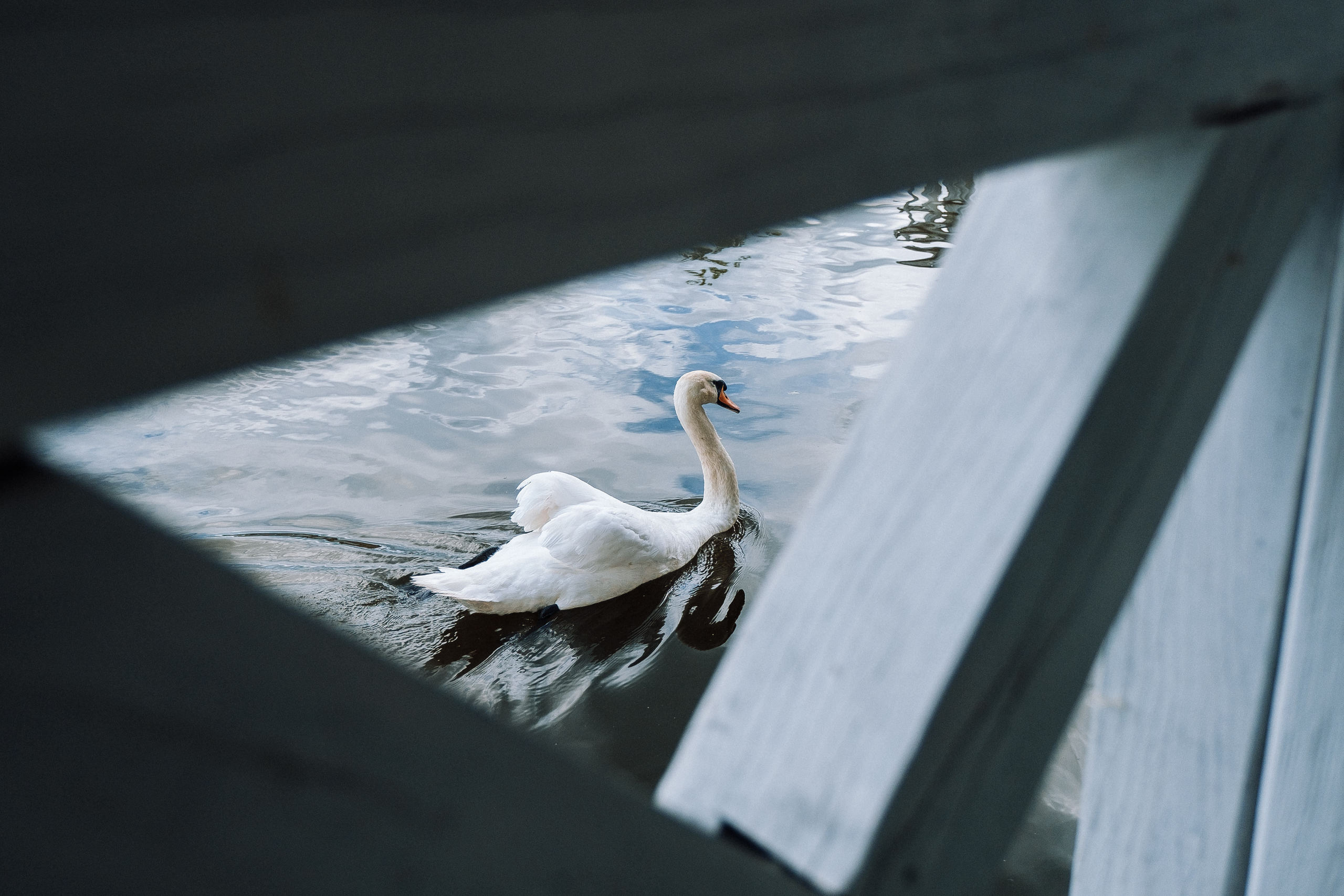 29.06.2019 WeddingStory. Ivan Skufinsky — wedding and family photographer in Vancouver