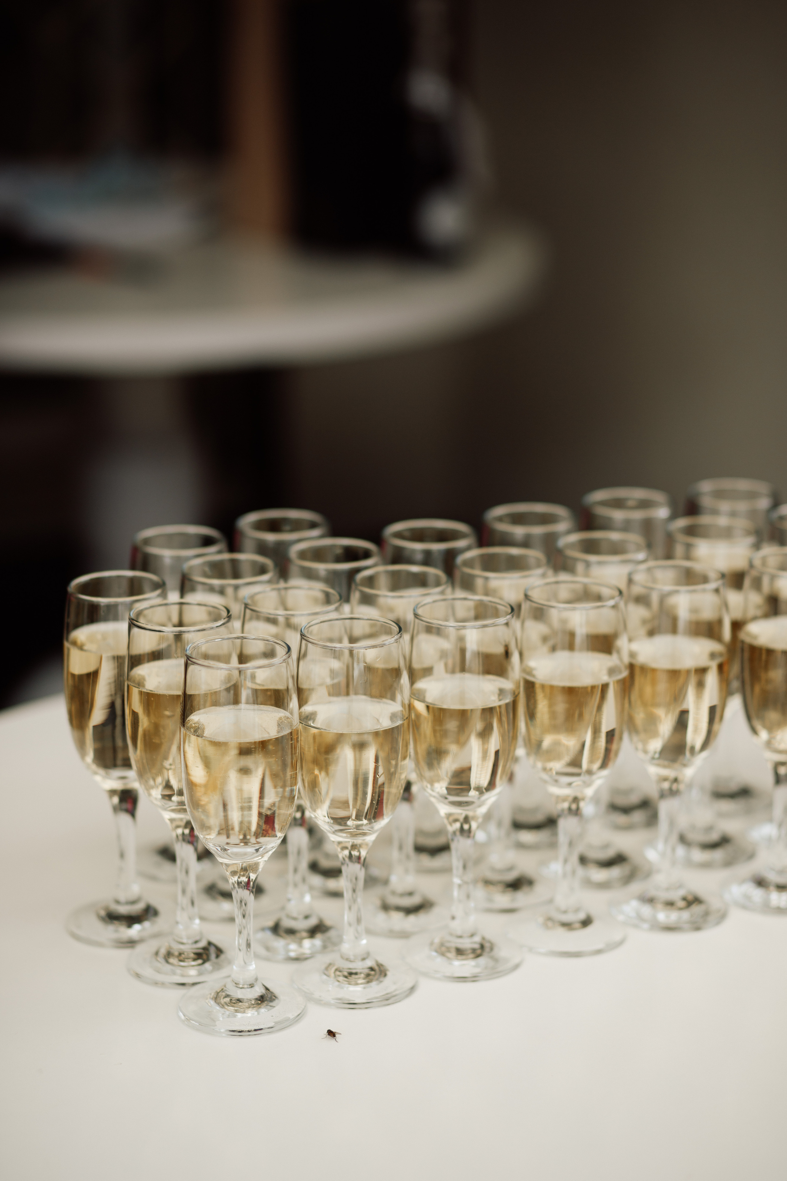 Max & Katrine. Фотограф в Білій Церкві