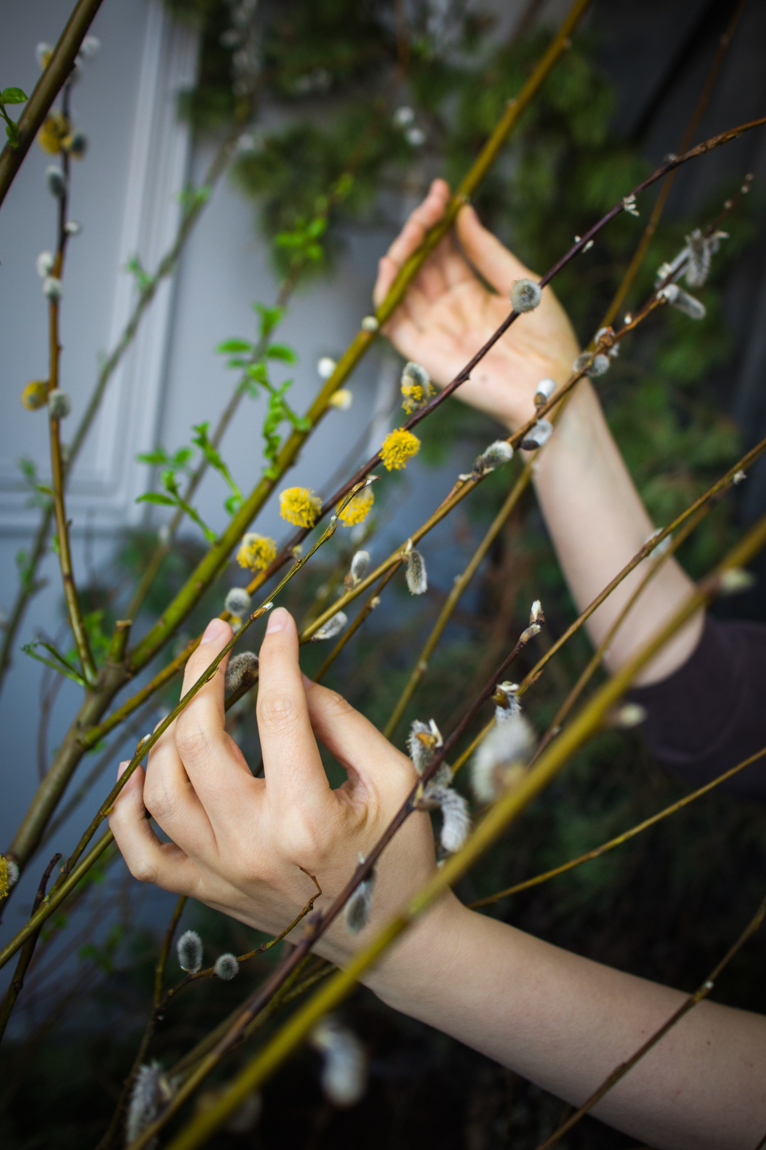 Ольга. SMM.RUUM — контент и дизайн для бизнеса и социальных сетей в Таллине