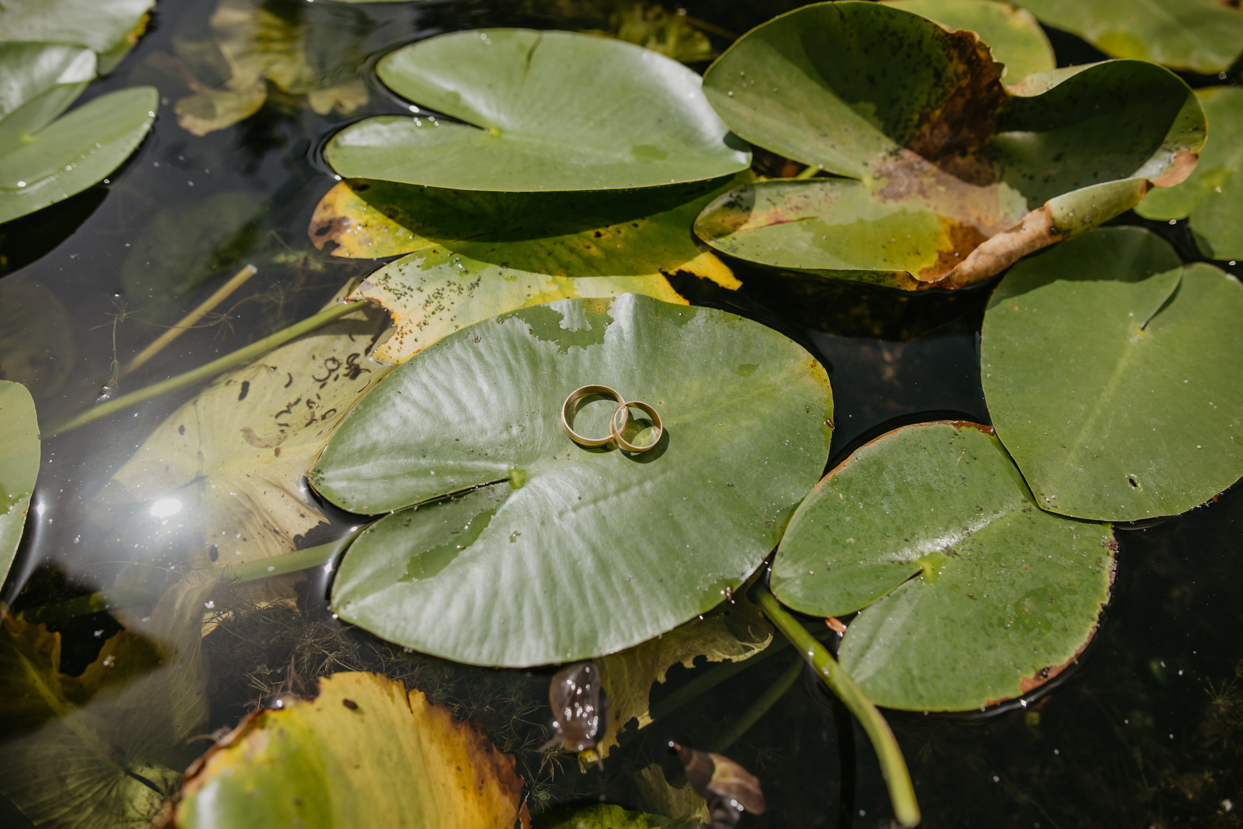 Дозйомка Катя та Володя. Весільний фотограф у Львові Мирон Роксоляна