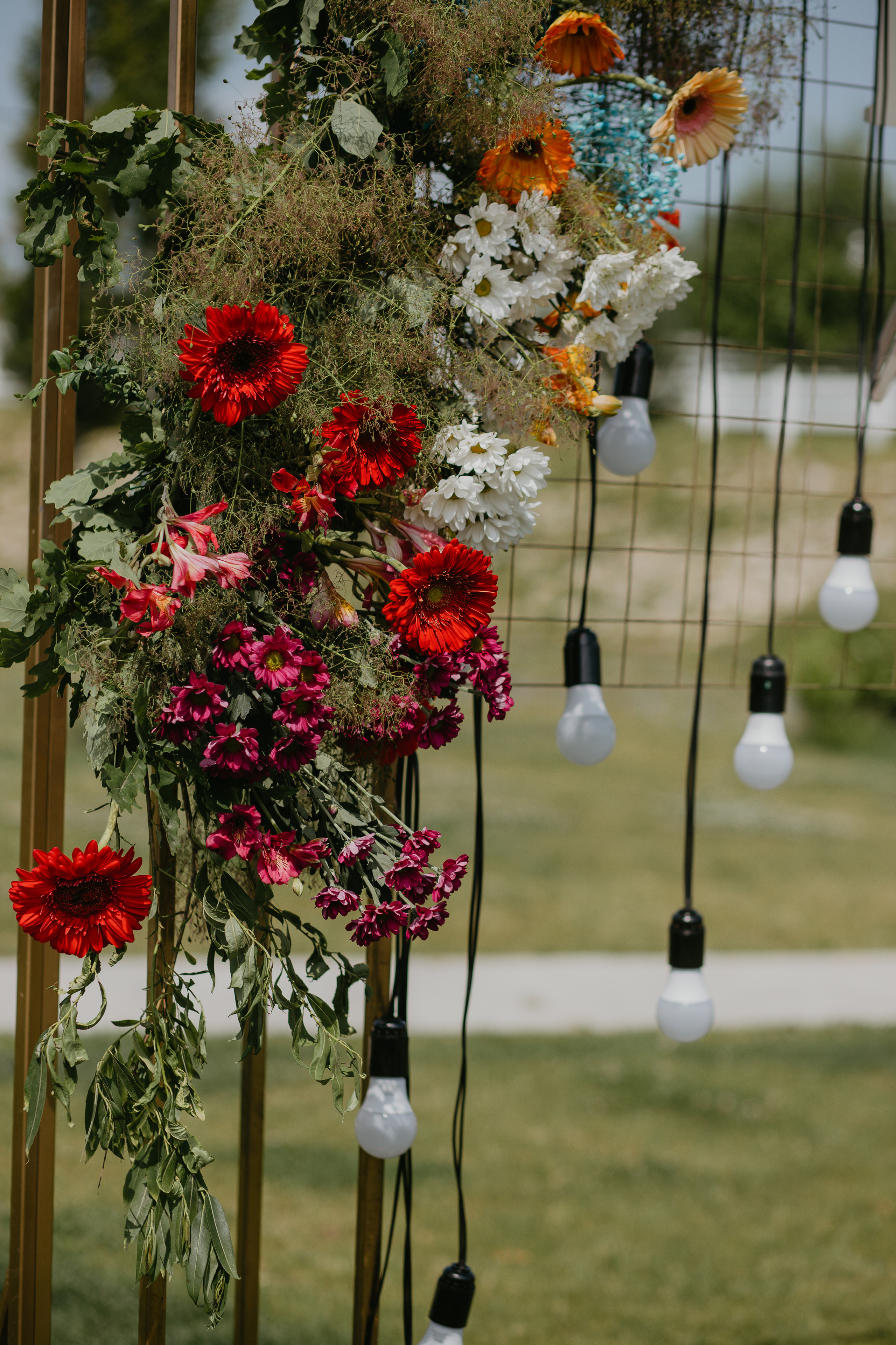 Випукний ЛНМУ ім. Данила Галицького. Весільний фотограф у Львові Мирон Роксоляна