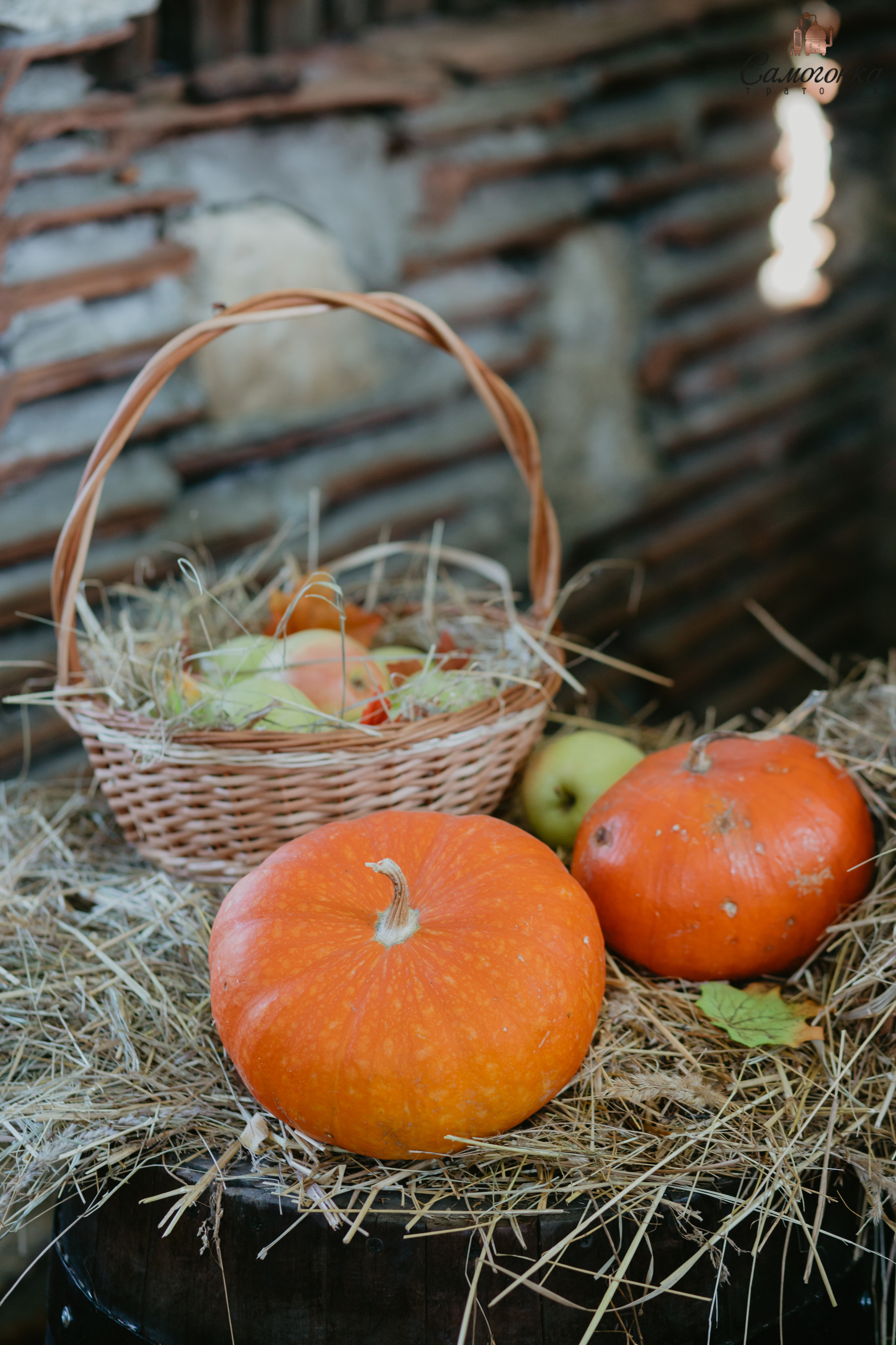 Репортаж із фестивалю самогонки. Весільний фотограф у Львові Мирон Роксоляна