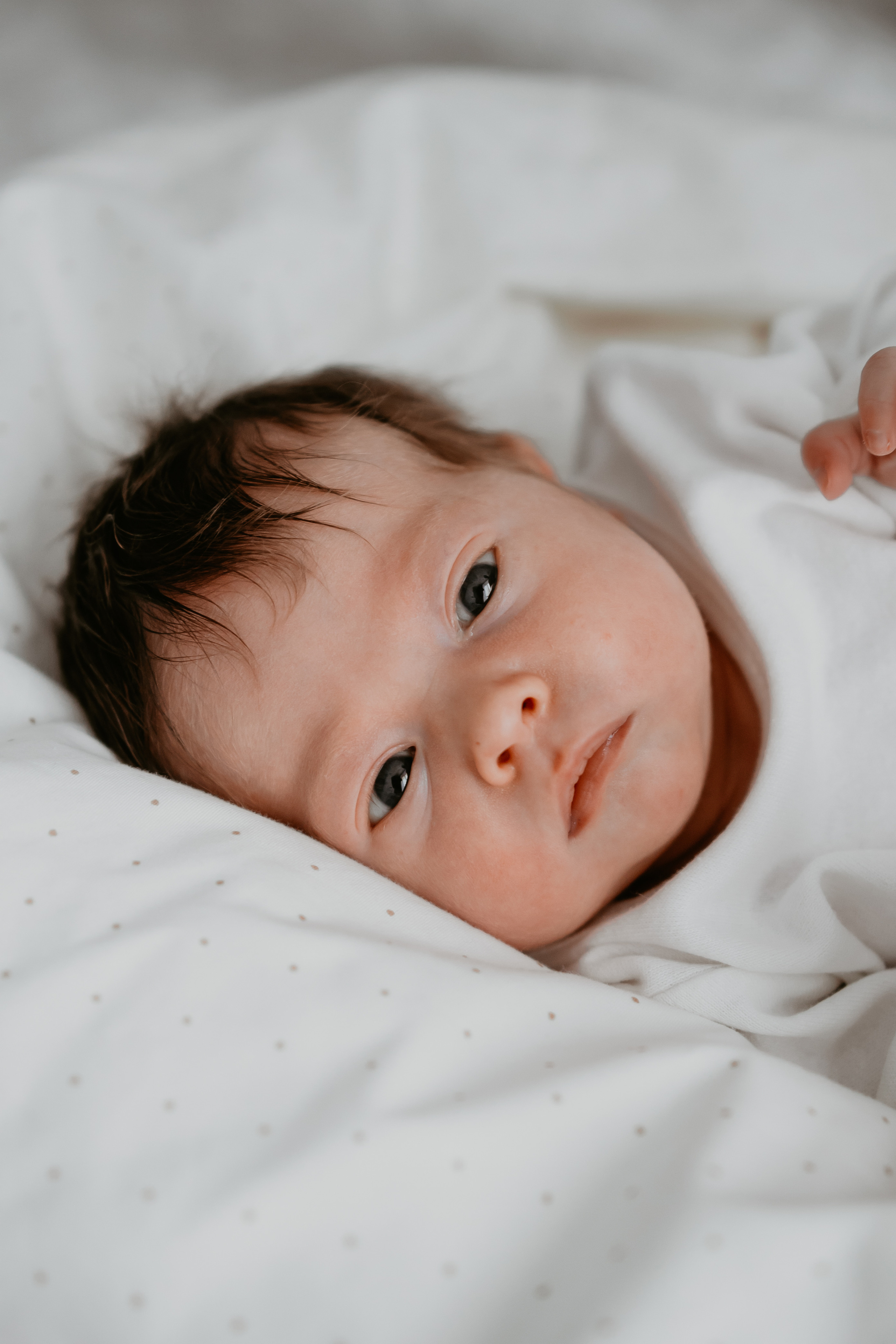 Хрещення Яни. Весільний фотограф у Львові Мирон Роксоляна