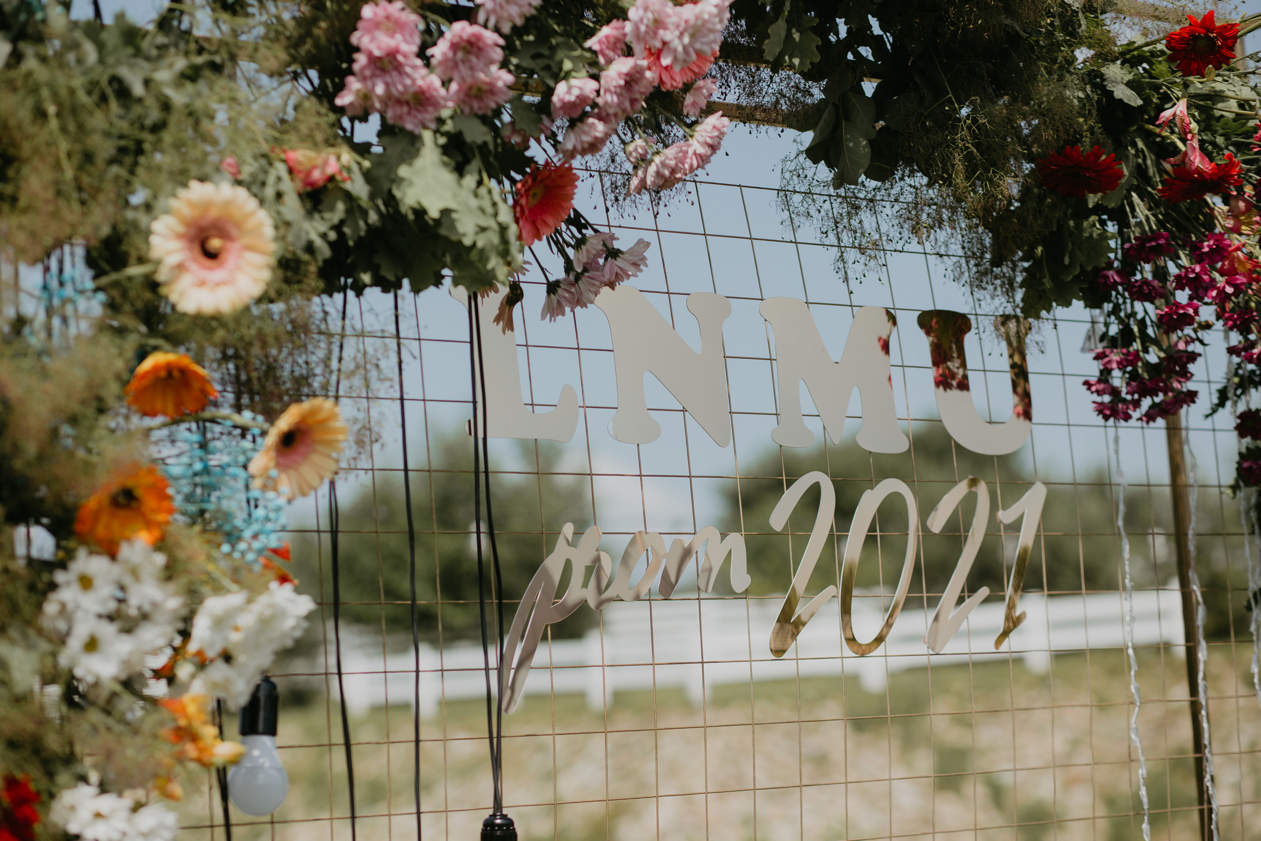 Випукний ЛНМУ ім. Данила Галицького. Весільний фотограф у Львові Мирон Роксоляна