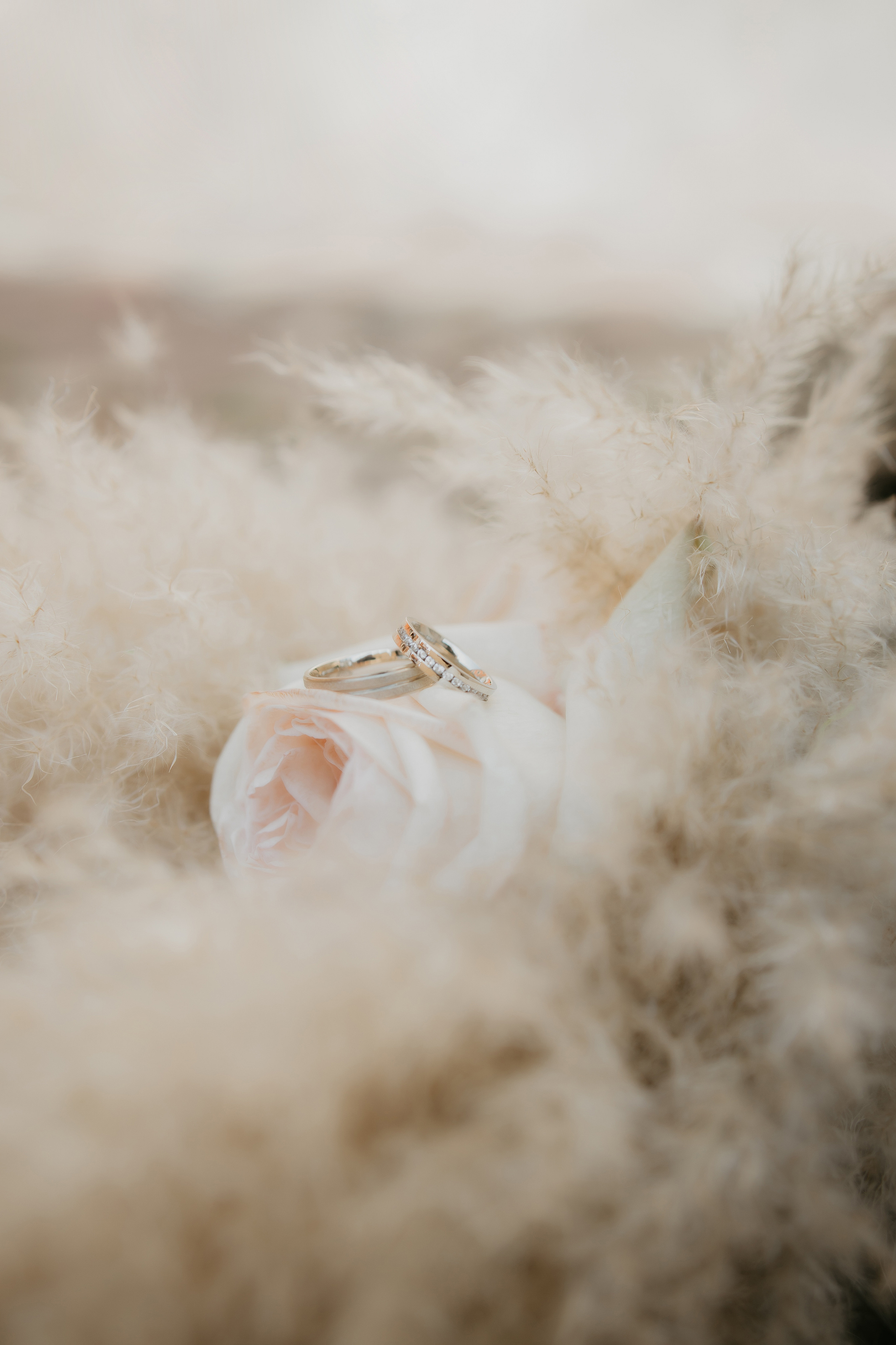 Розпис Леонід і Соломія. Весільний фотограф у Львові Мирон Роксоляна