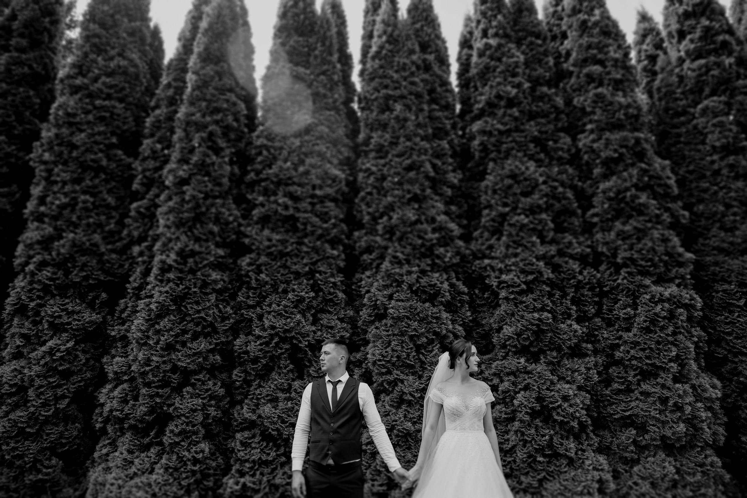 Дозйомка Катя та Володя. Весільний фотограф у Львові Мирон Роксоляна