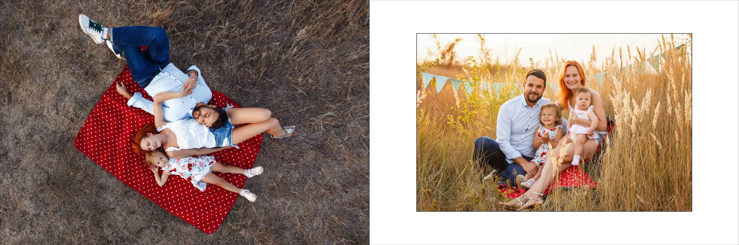 Денис (поле). Аренды интерактивных фотозон в Харькове