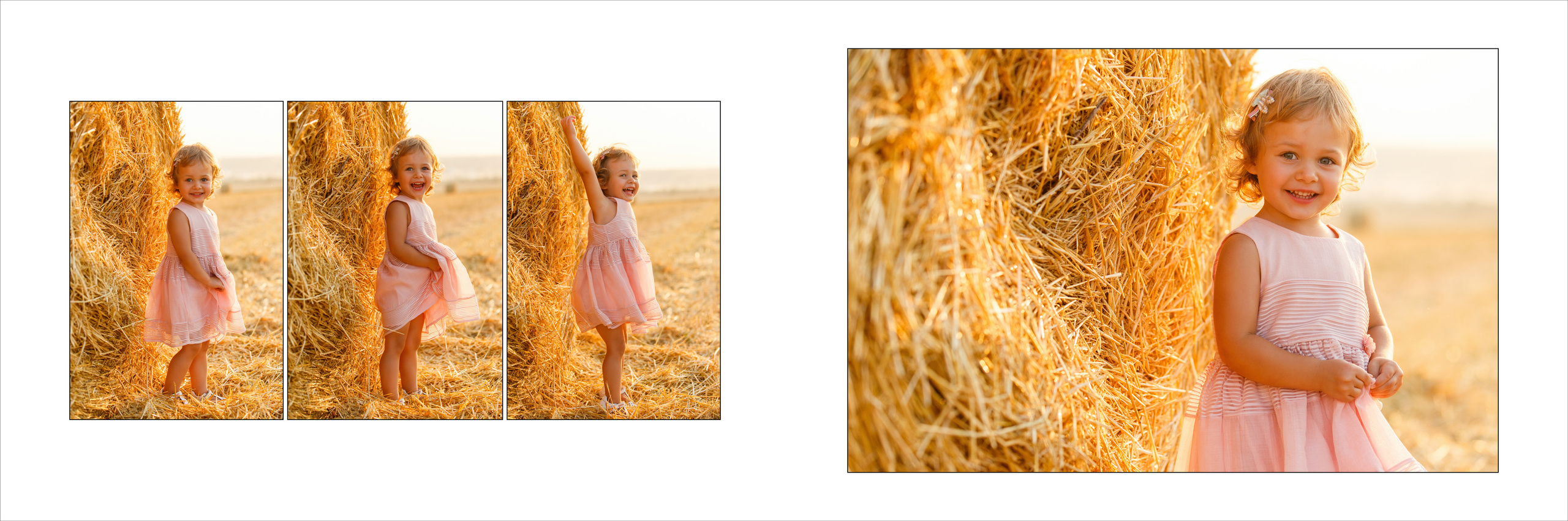 Денис (поле). Аренды интерактивных фотозон в Харькове