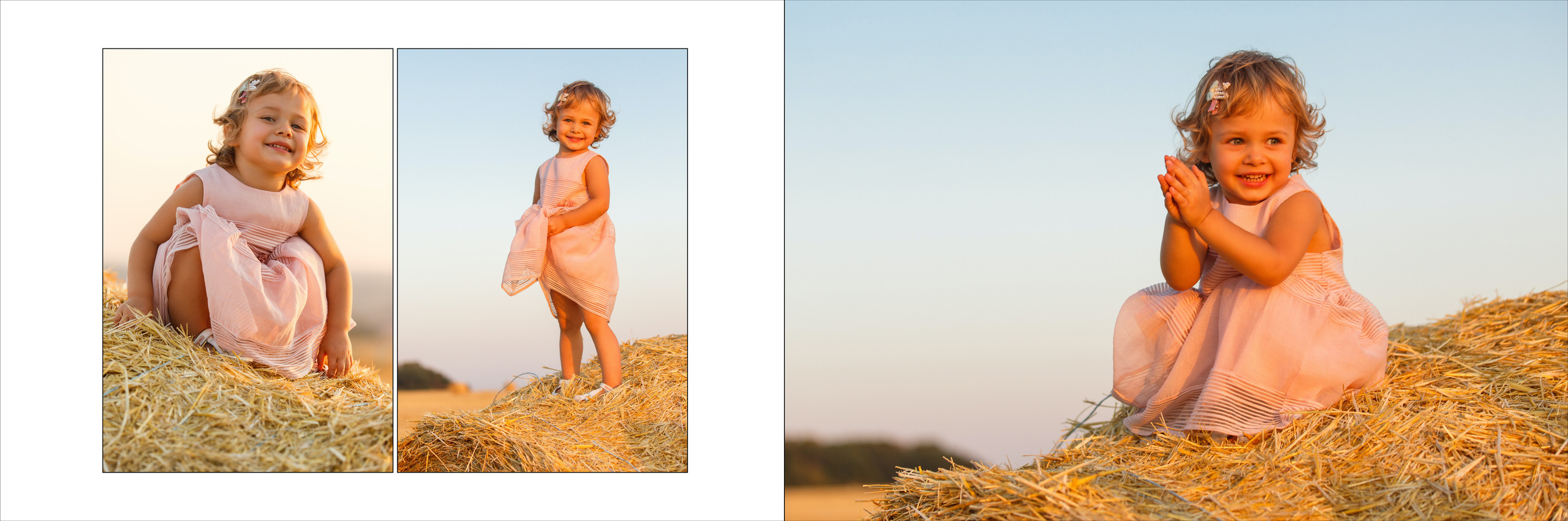 Денис (поле). Аренды интерактивных фотозон в Харькове