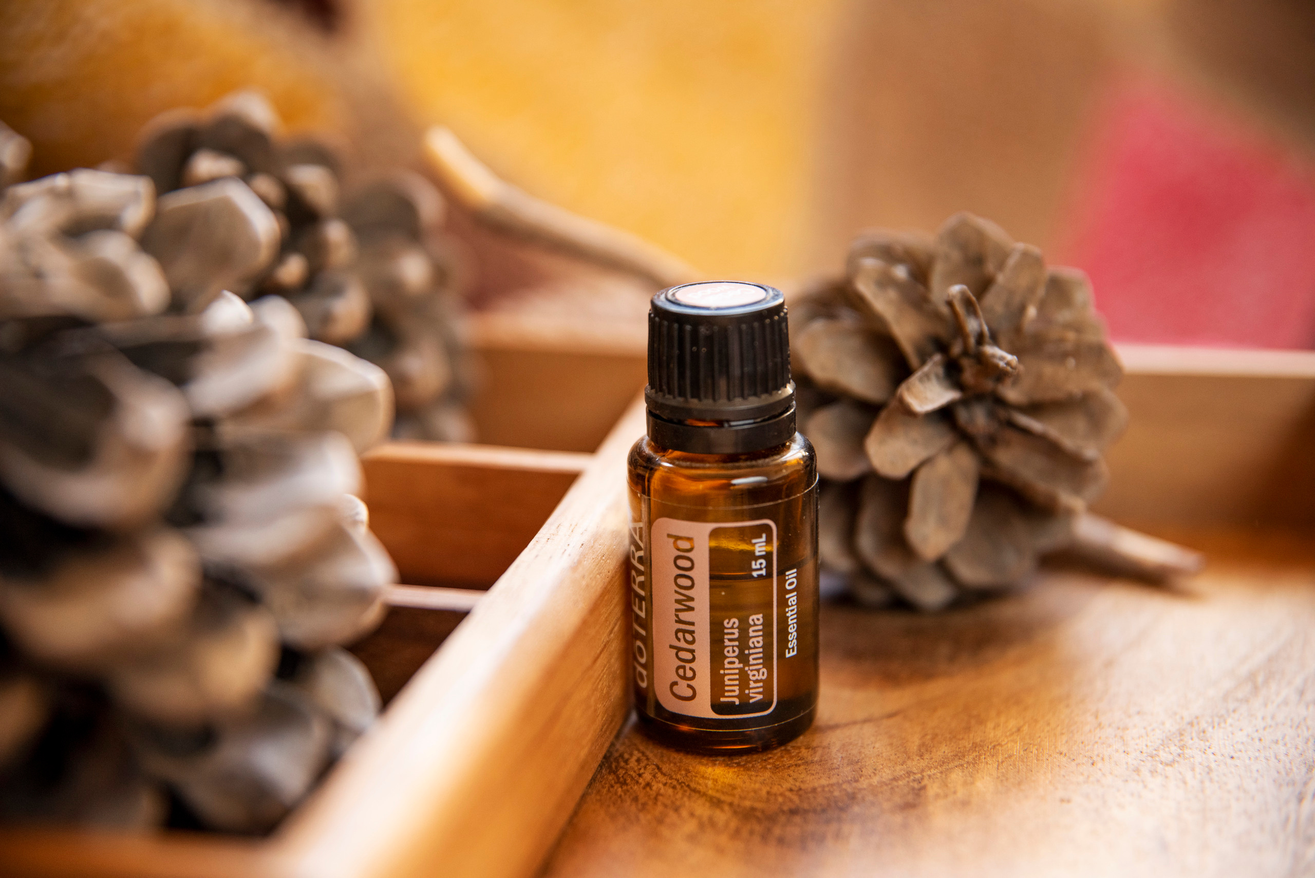 Object shooting. Photographer in Israel Luba Ternavskaya