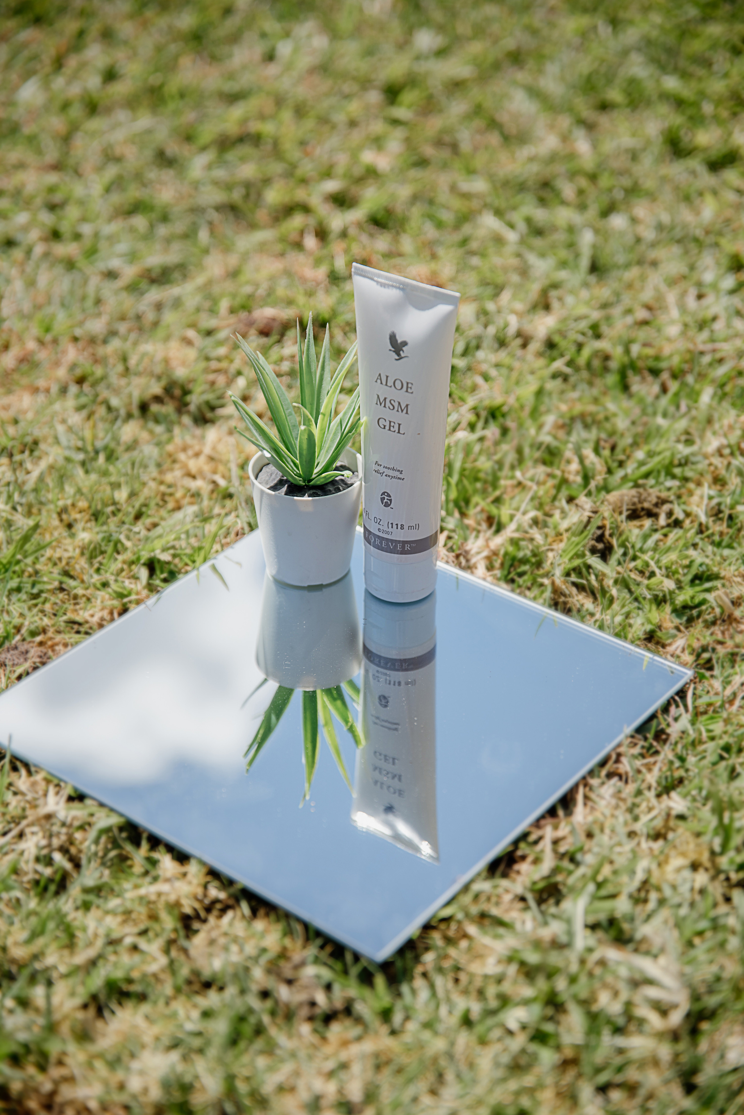 Shooting for a business entrepreneur. Photographer in Israel Luba Ternavskaya