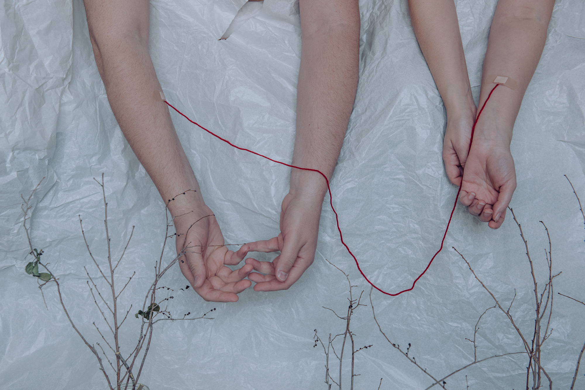 The science of sleep. Photographer in Israel Luba Ternavskaya