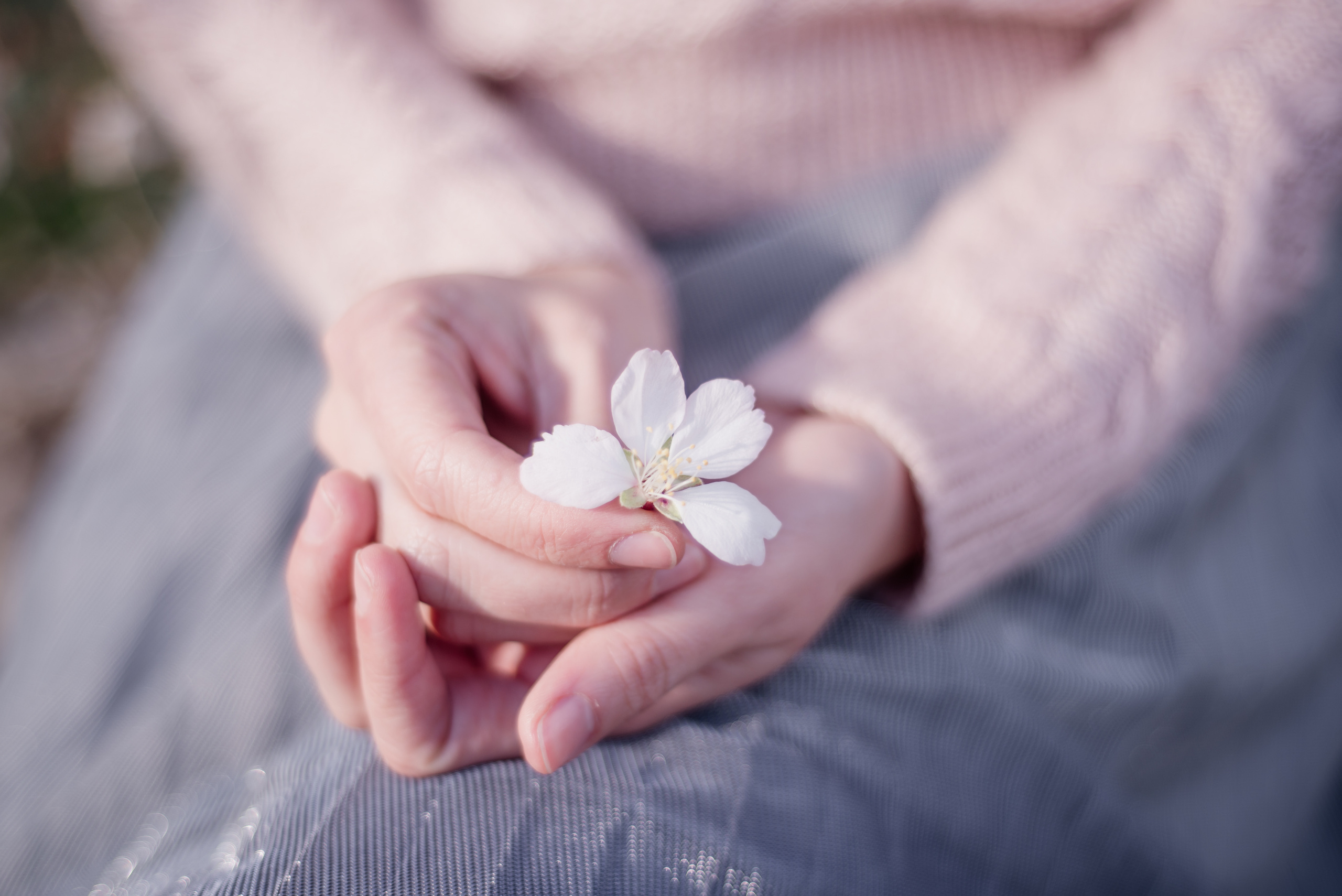 לובה. צלמת ירושלים תל אביב ישראל