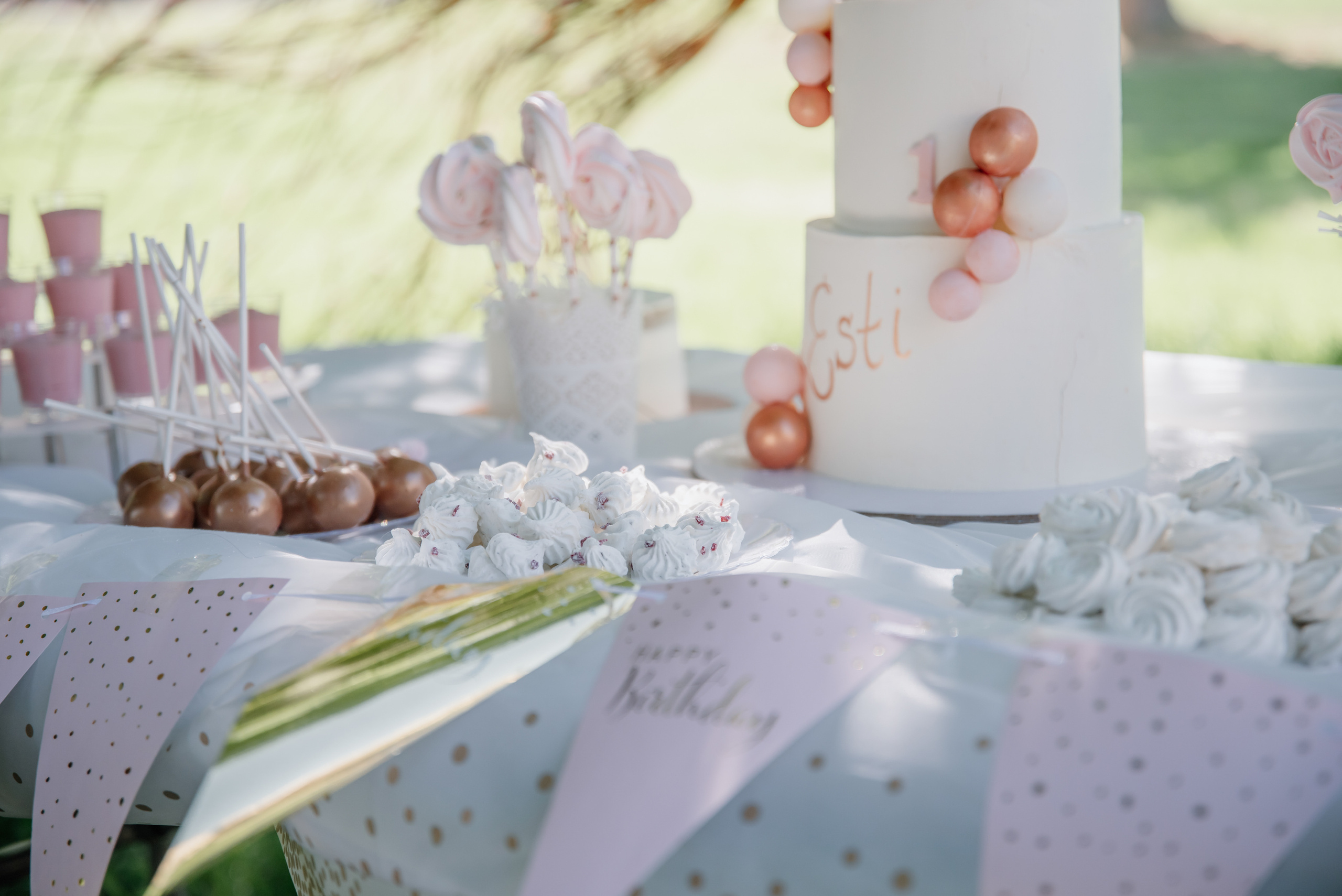 Esti’s birthday 1 year. Люба Тернавская. Фотограф Иерусалим. Фотограф Израиль