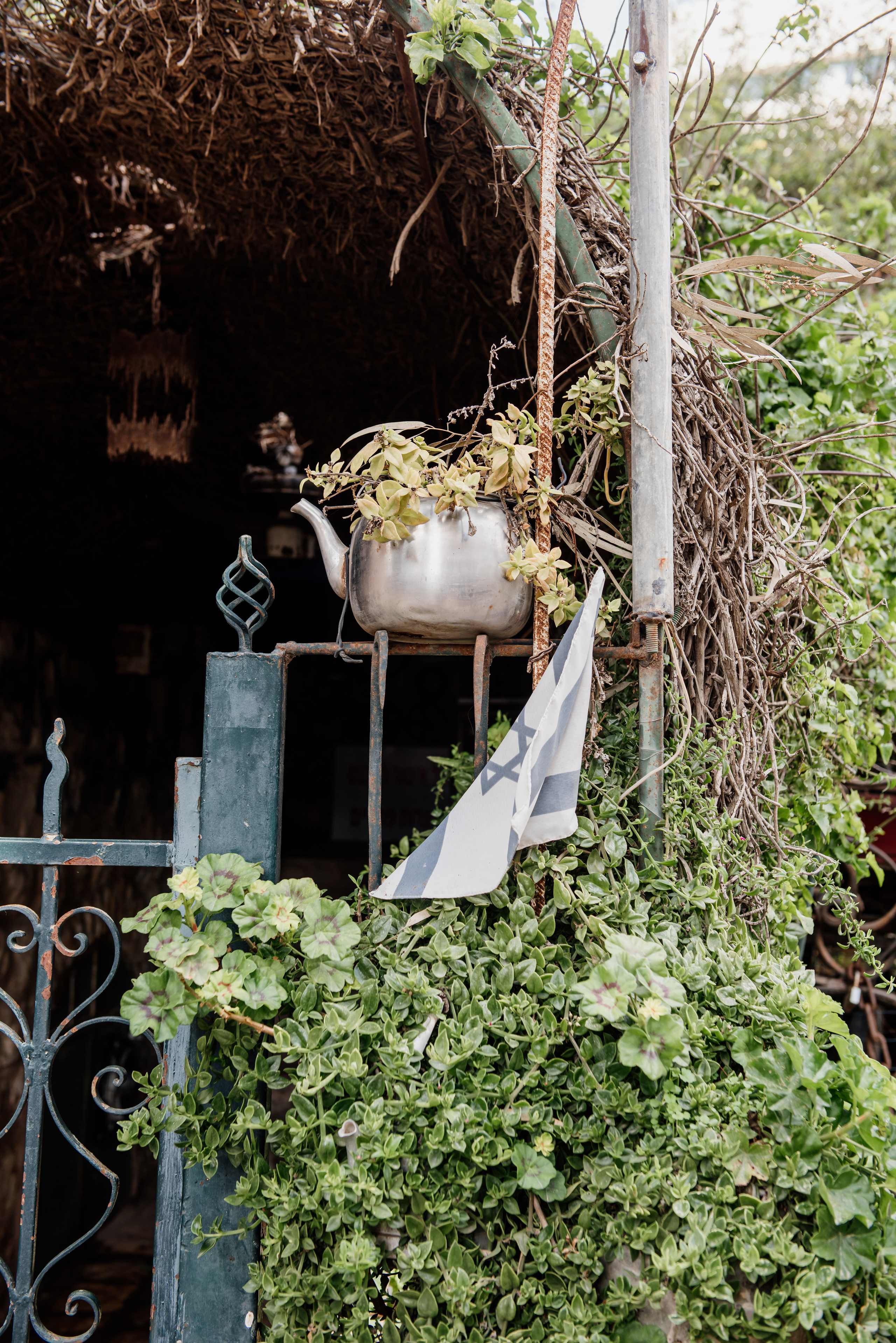 My favorite flag. צלמת ירושלים תל אביב ישראל