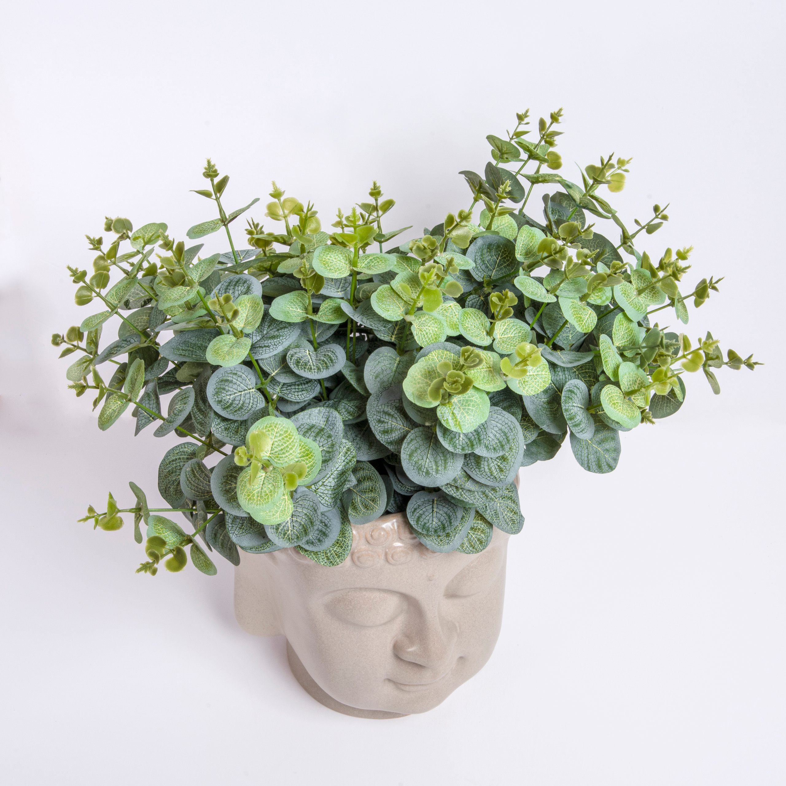 For a flower shop. צלמת ירושלים תל אביב ישראל