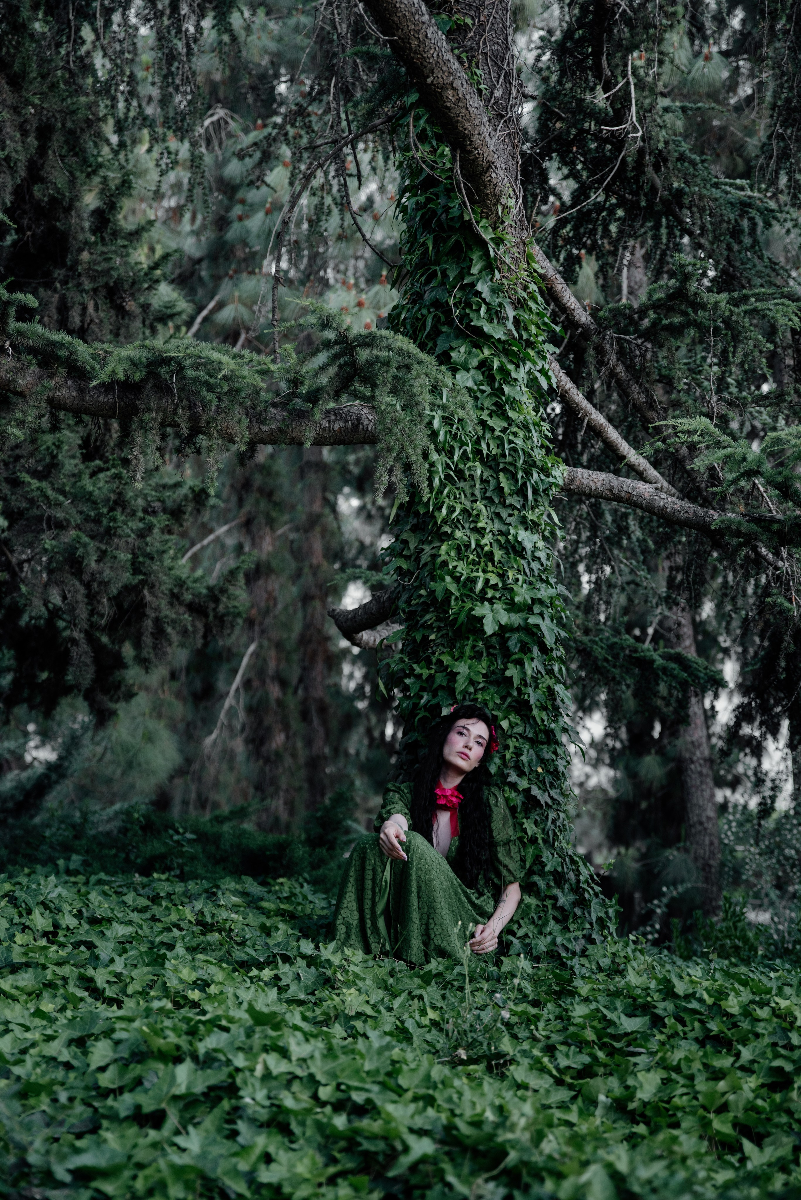 The secret life of dryad. Люба Тернавская. Фотограф Иерусалим. Фотограф Израиль